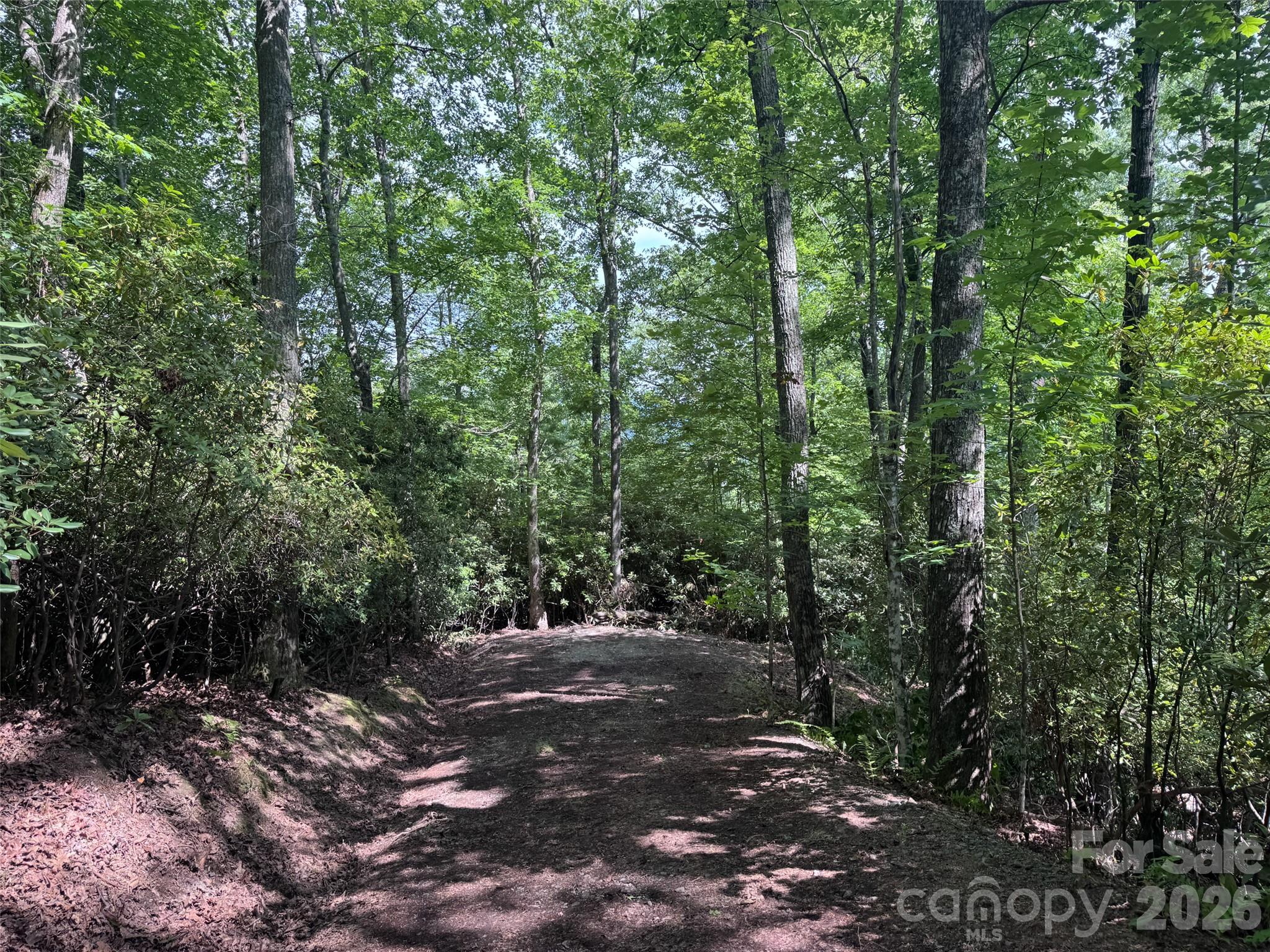 10a Reserve Road Property Photo 26