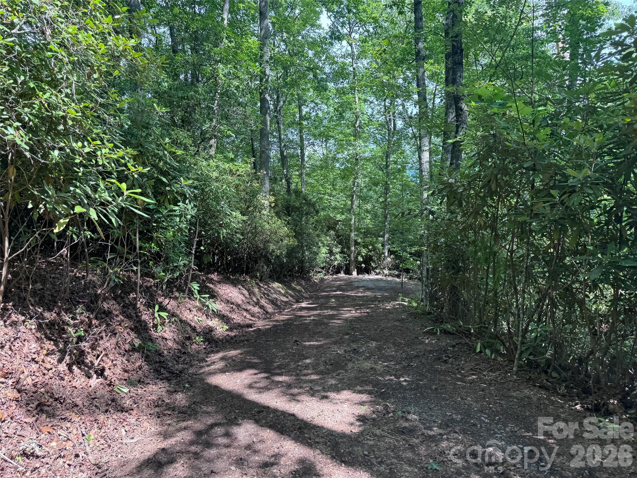 10a Reserve Road Property Photo 27