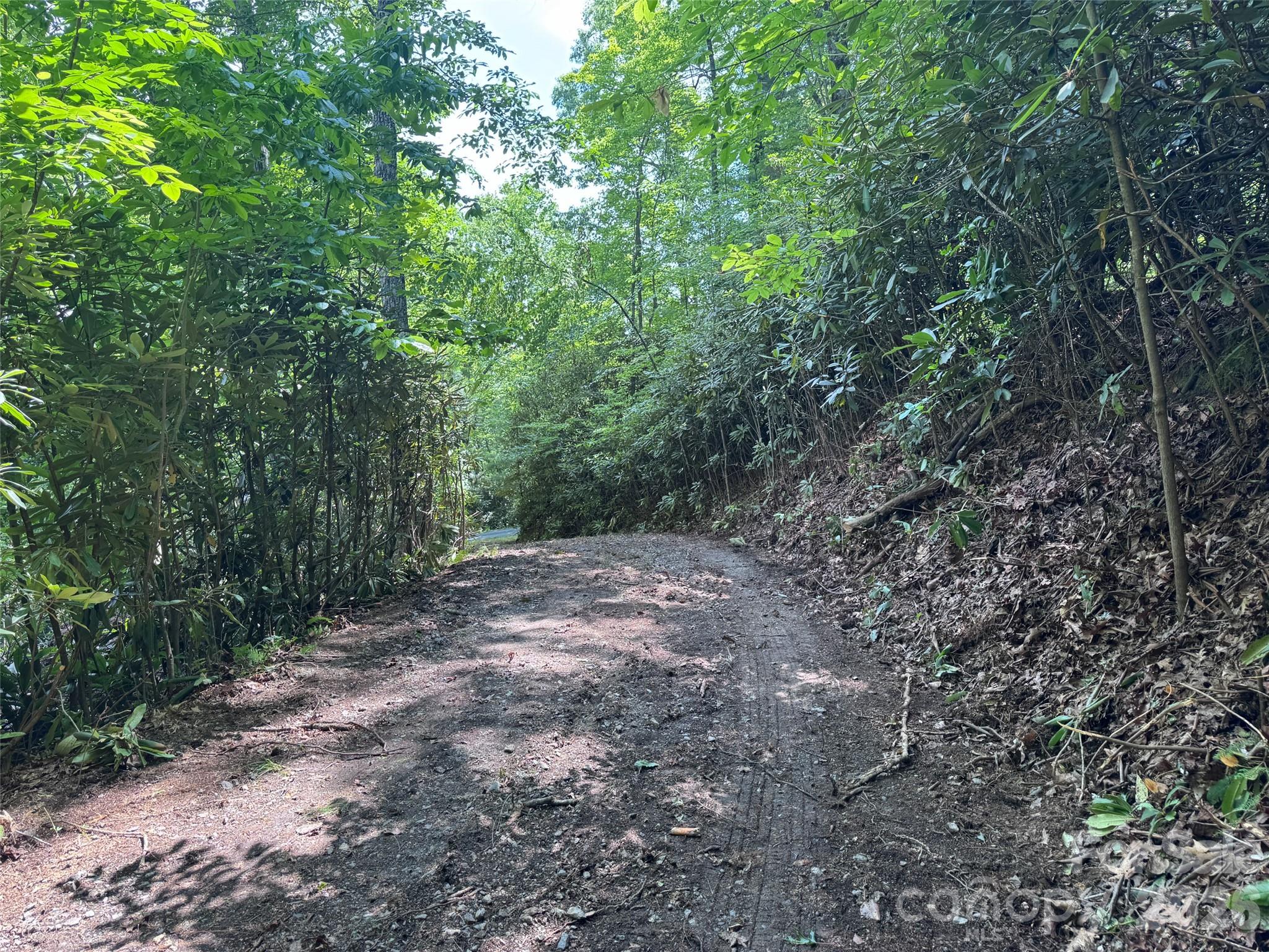 10a Reserve Road Property Photo 29