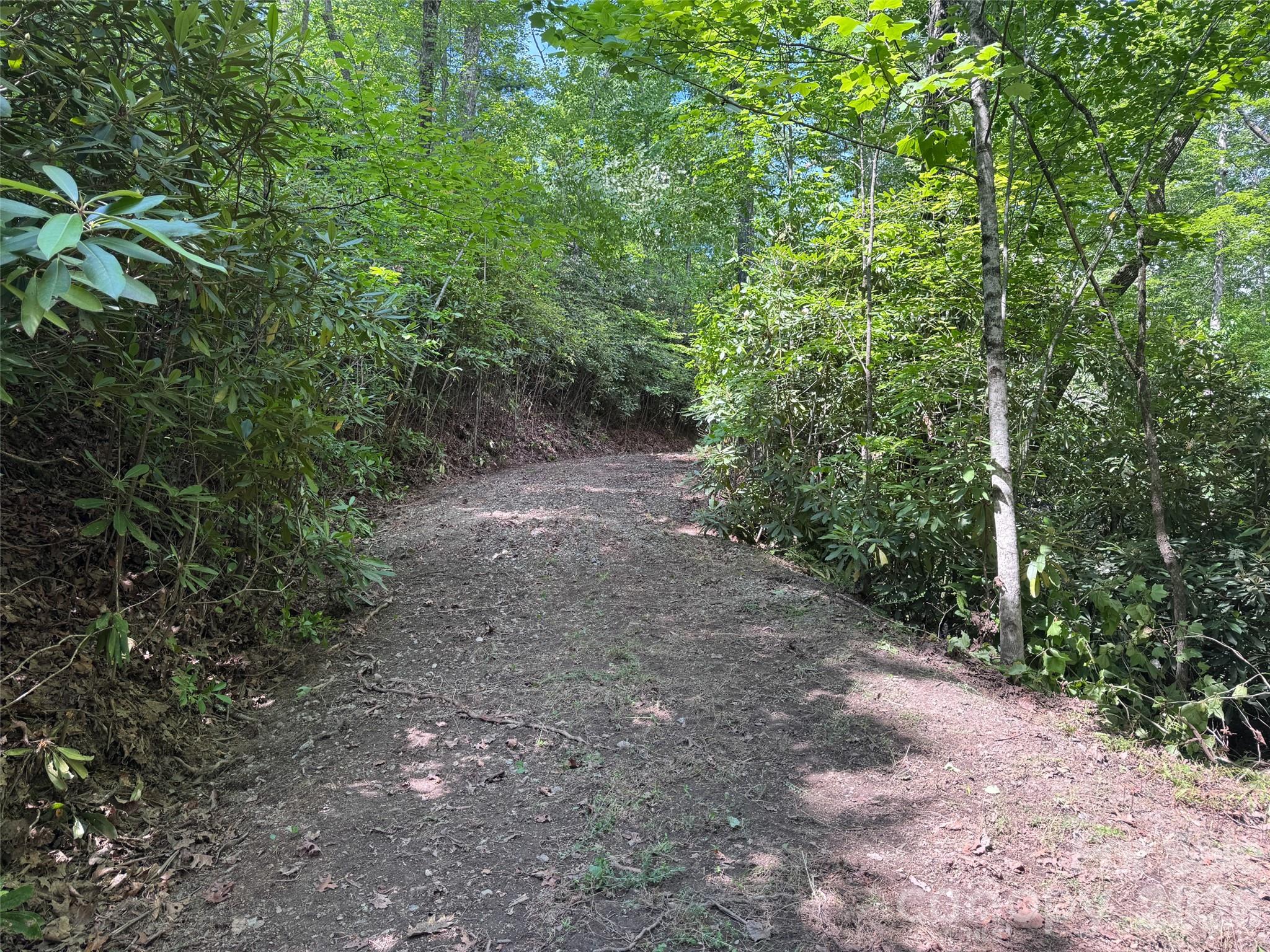 10a Reserve Road Property Photo 31