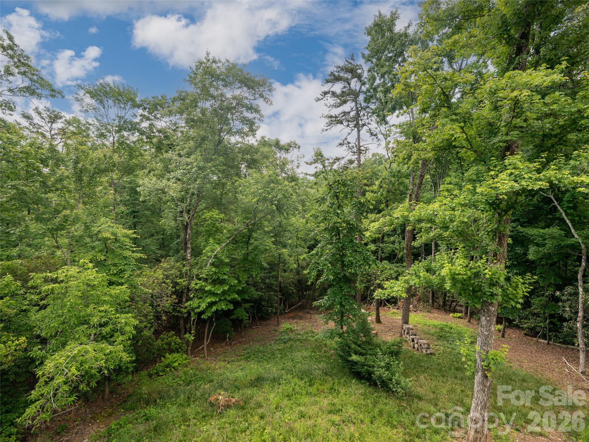78 Boyd View Lane Property Photo 18
