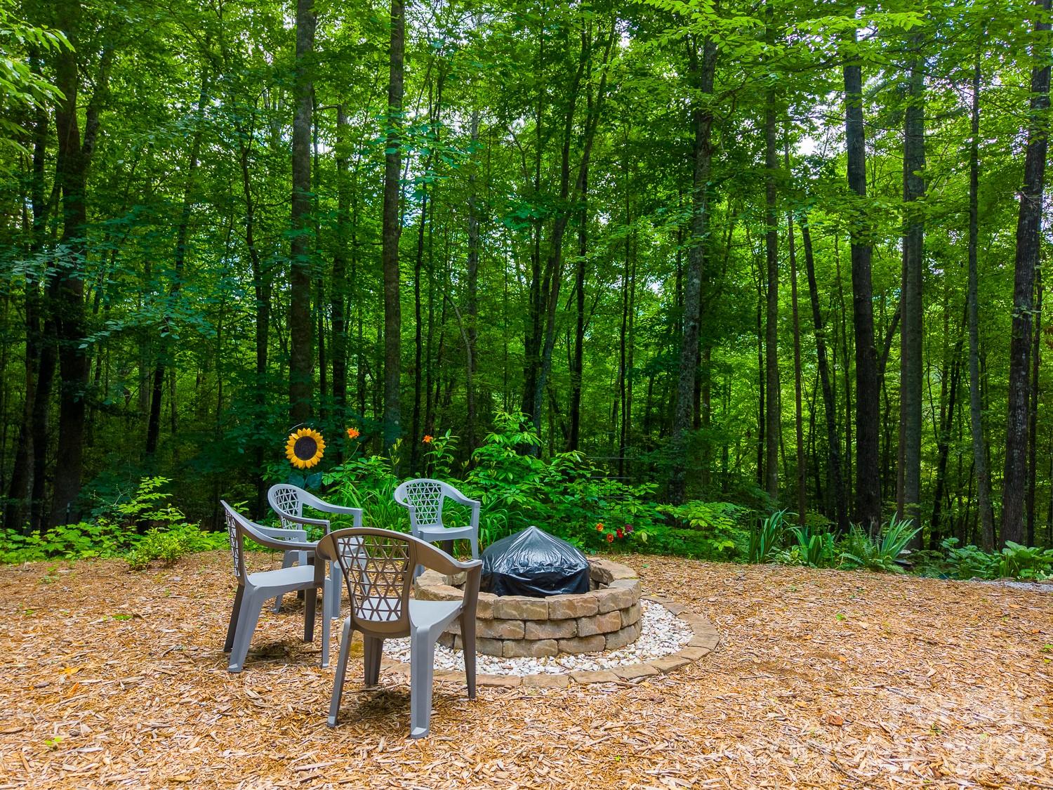 243 Jonquil Woods Road Property Photo 39