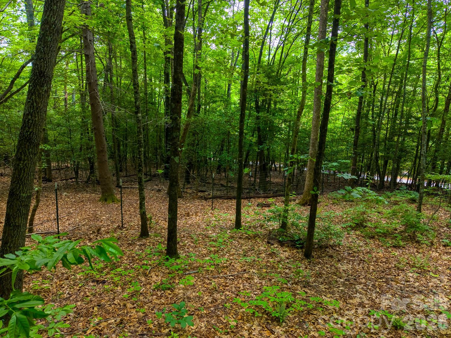 243 Jonquil Woods Road Property Photo 41