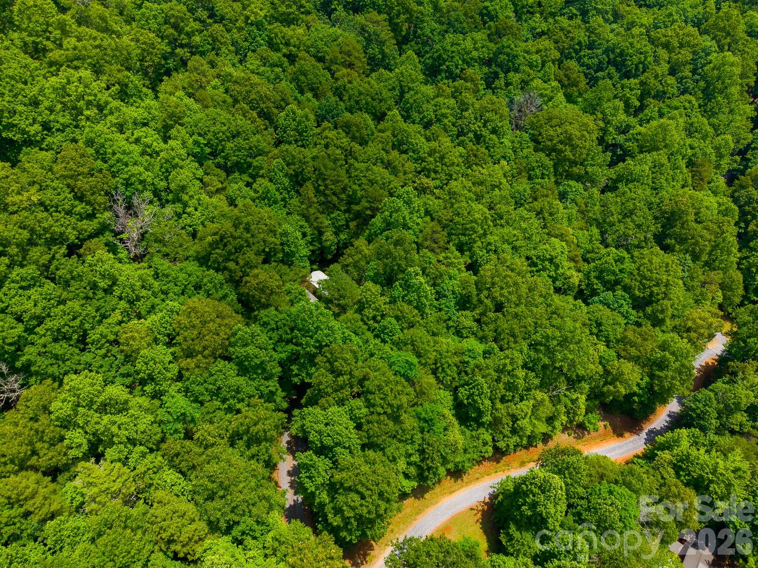 243 Jonquil Woods Road Property Photo 46
