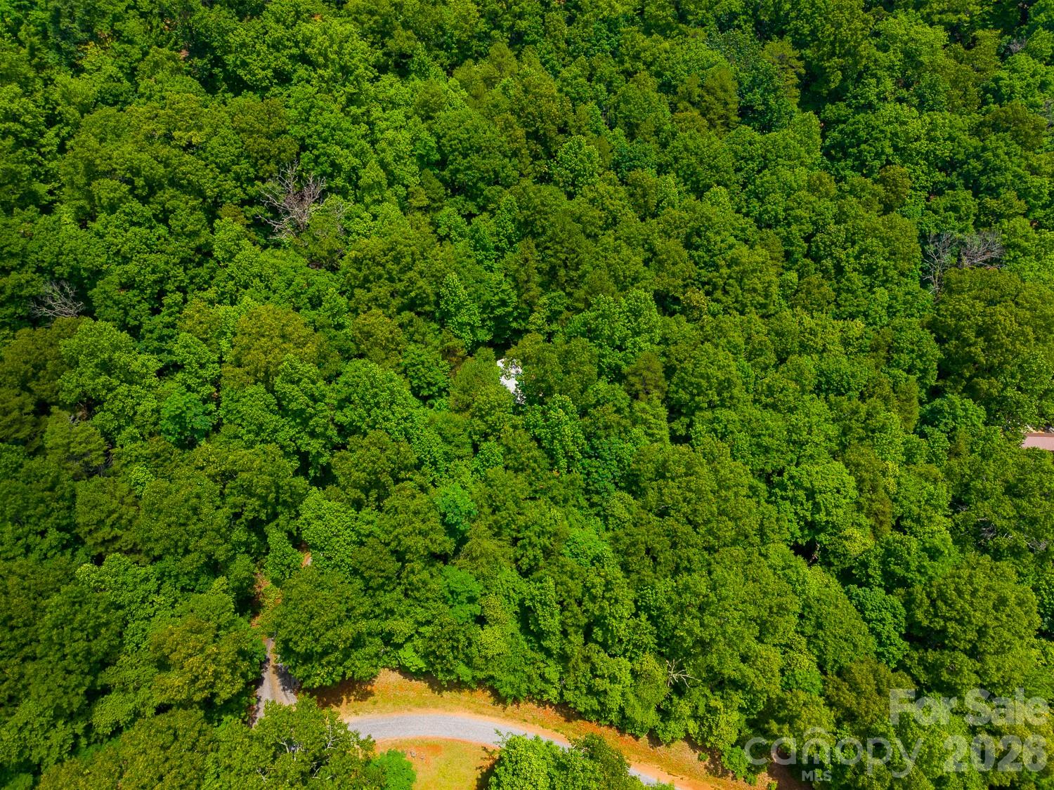 243 Jonquil Woods Road Property Photo 47