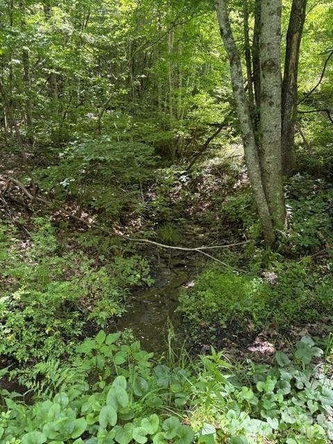 00 Shoaf Lane Property Photo 1