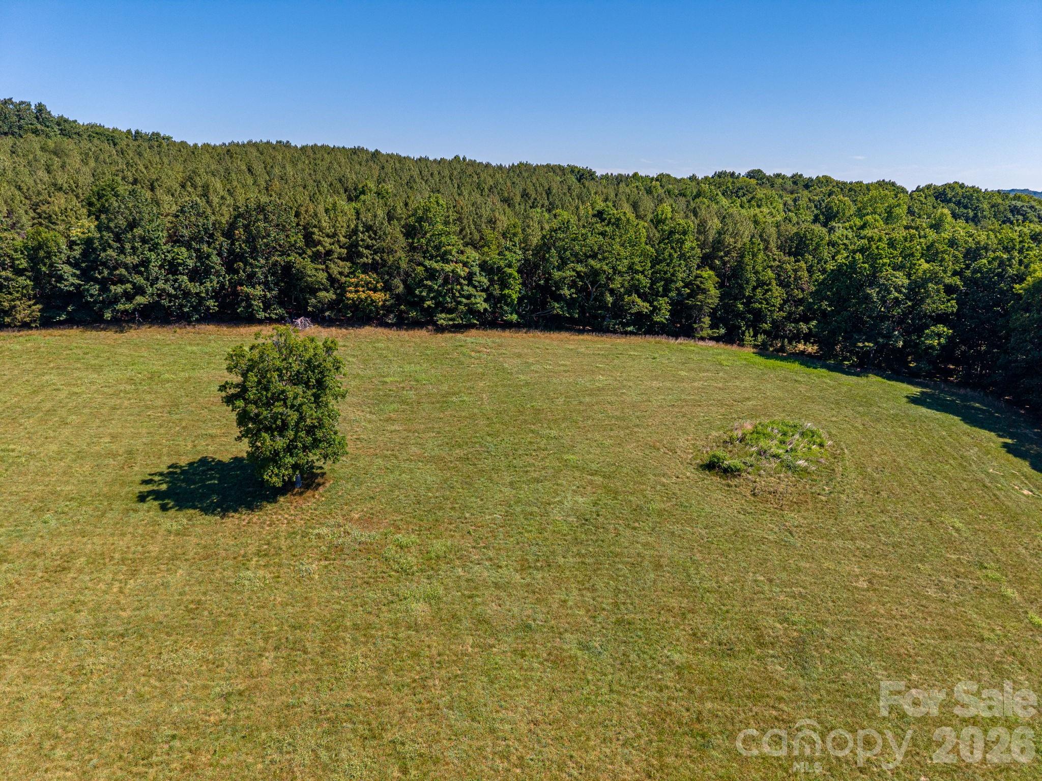 4691 Wilkesboro Highway Property Photo 6