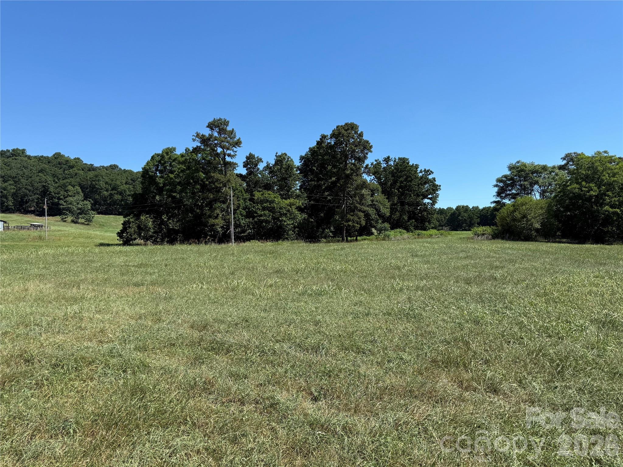 4691 Wilkesboro Highway Property Photo 14