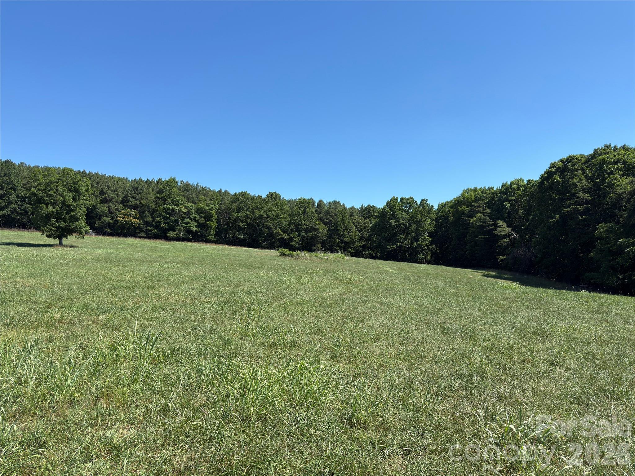 4691 Wilkesboro Highway Property Photo 19