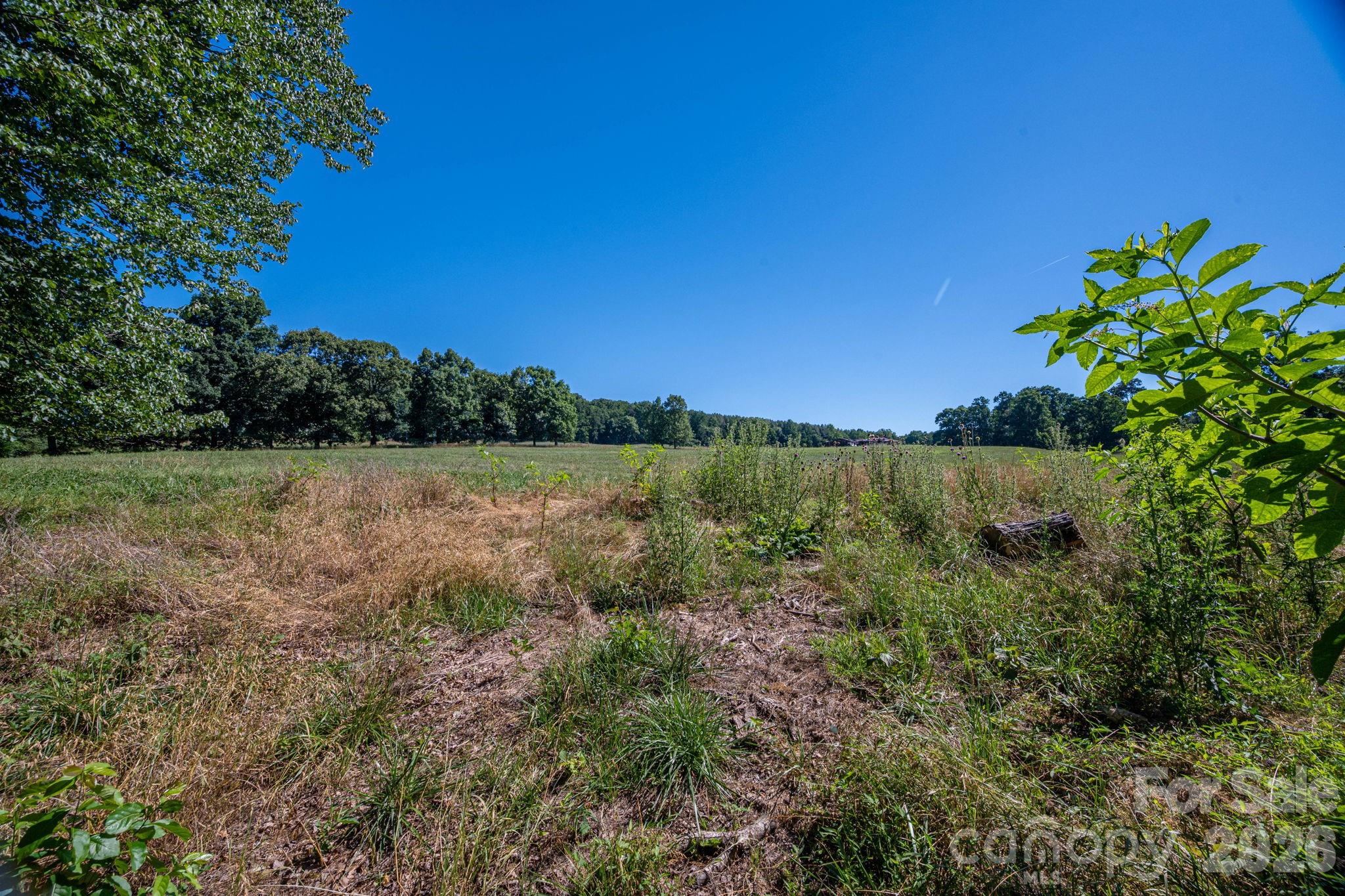 4691 Wilkesboro Highway Property Photo 34