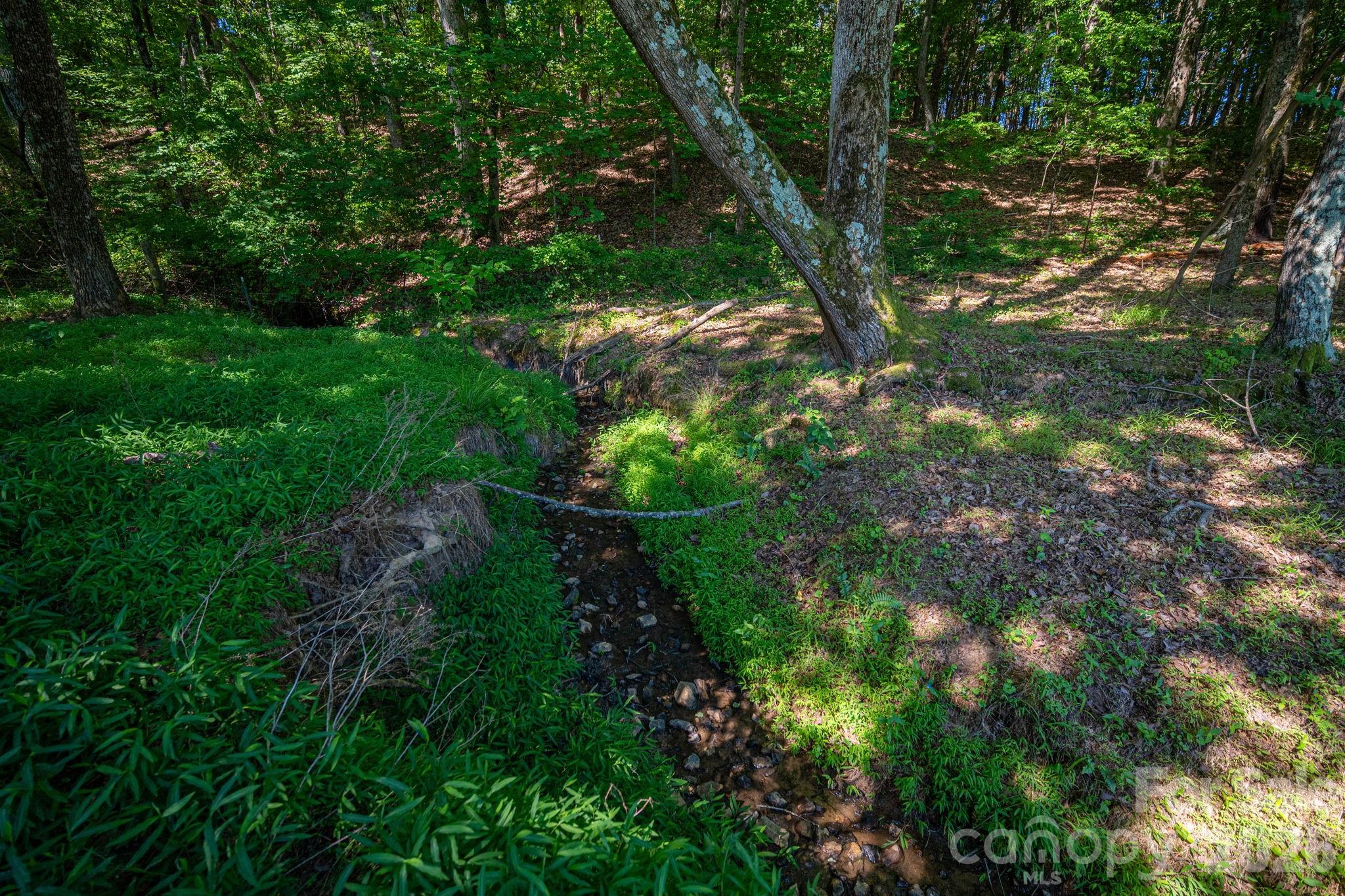 4691 Wilkesboro Highway Property Photo 37