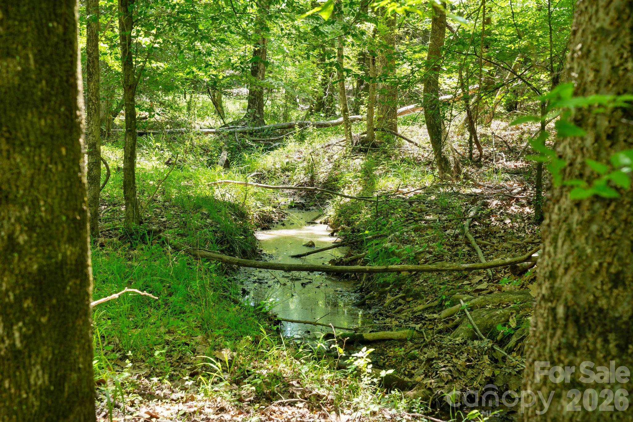 0000 Cool Branch Road 1 Property Photo 3