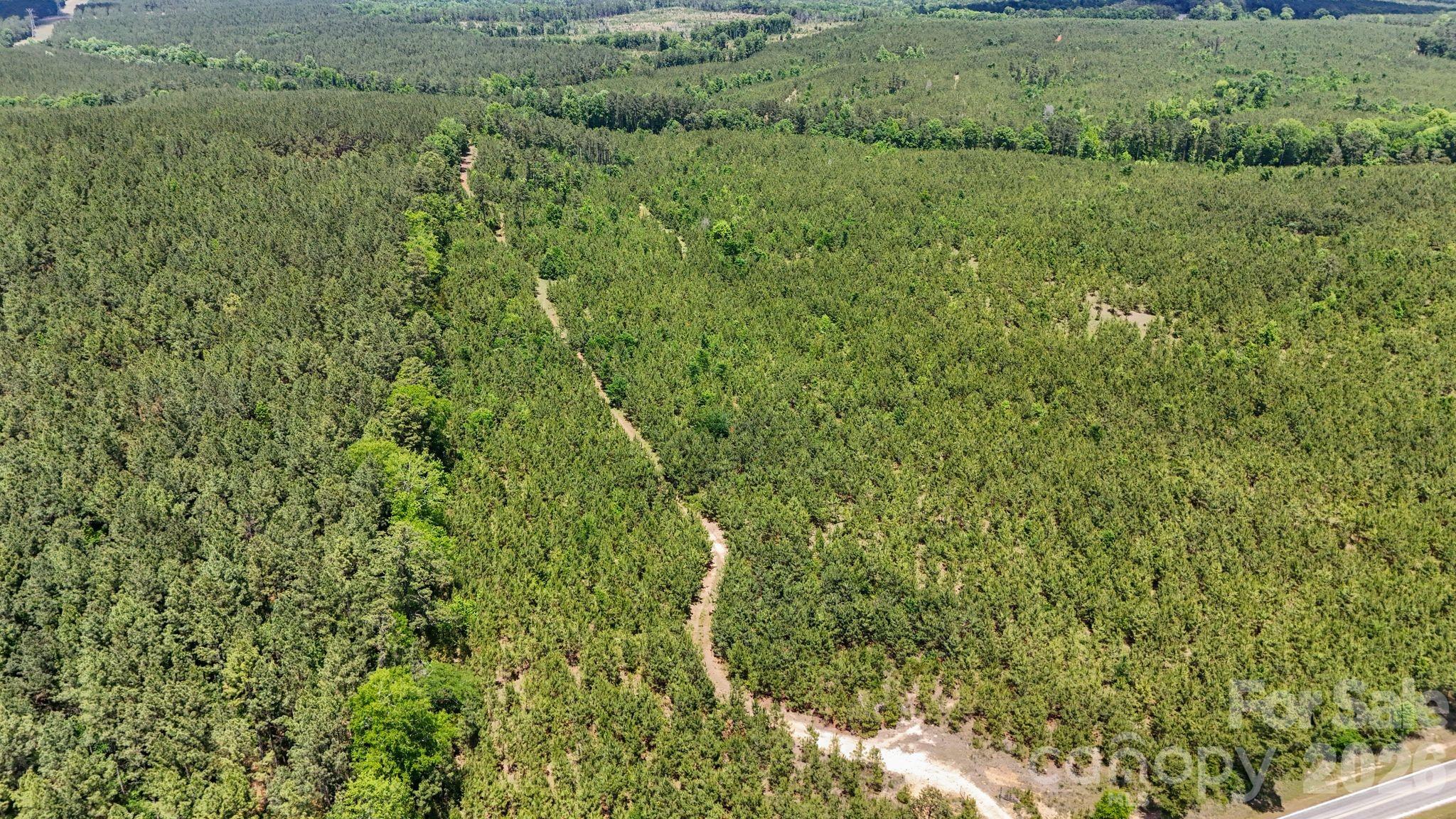 0000 Cool Branch Road 1 Property Photo 13