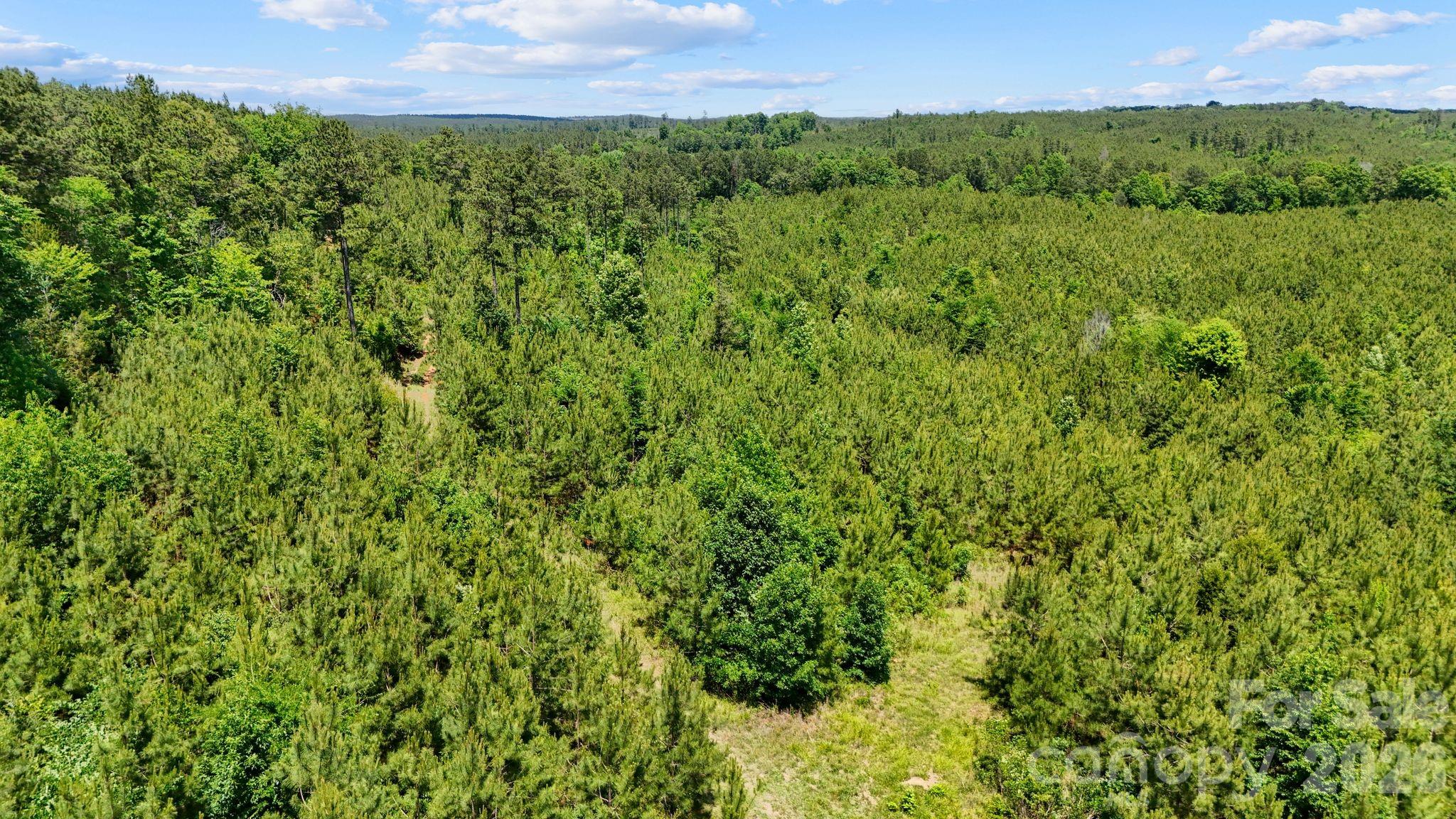 0000 Cool Branch Road 1 Property Photo 16