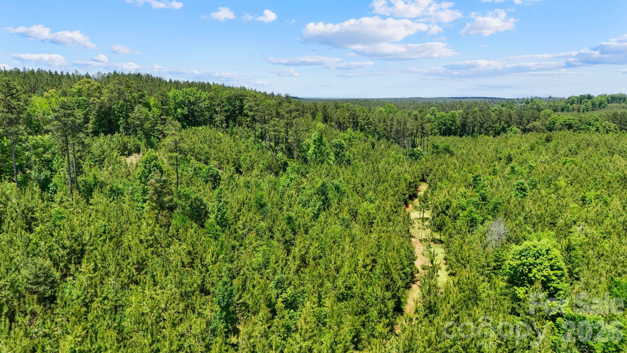 0000 Cool Branch Road 1 Property Photo 17