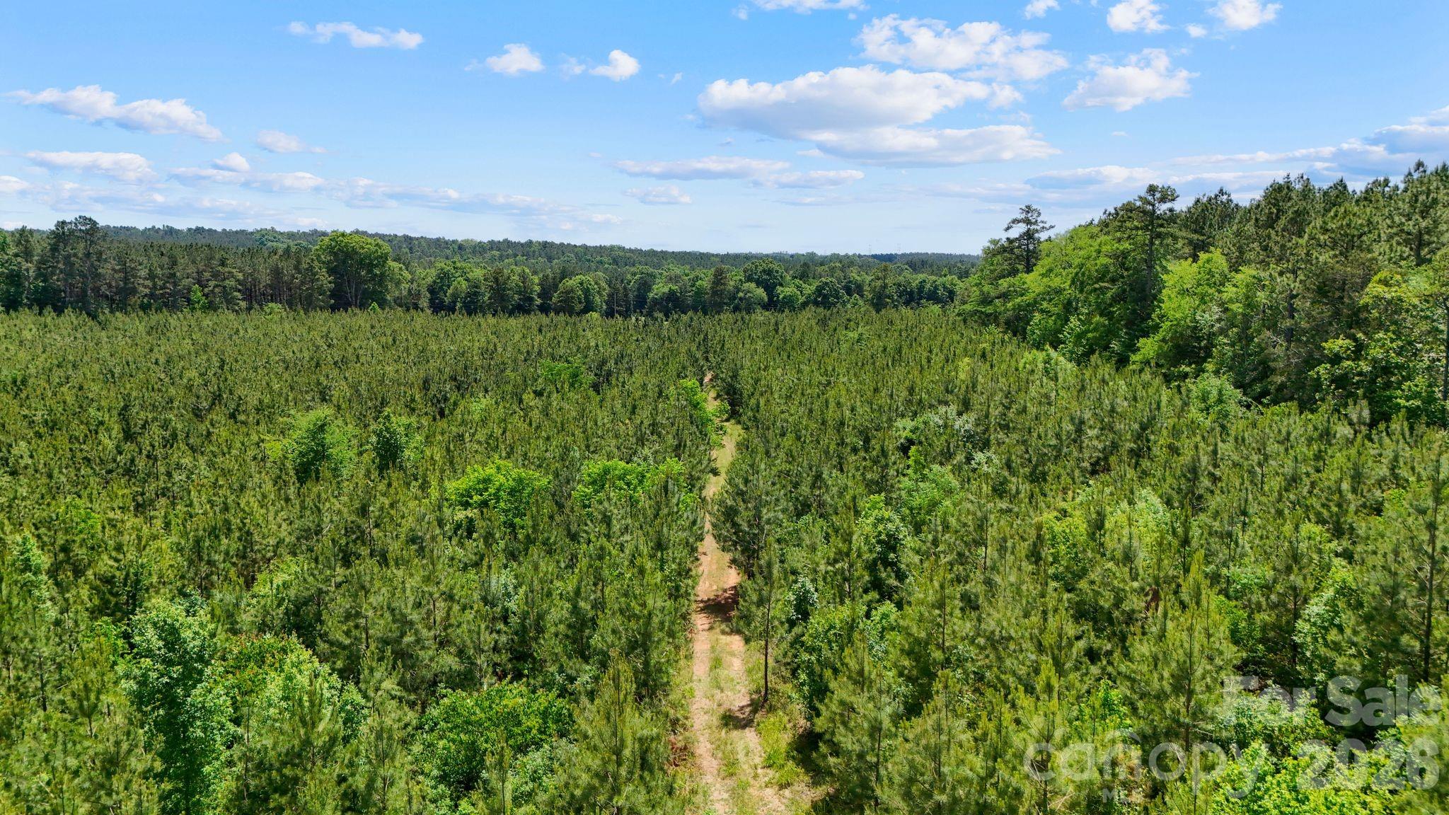 0000 Cool Branch Road 1 Property Photo 21