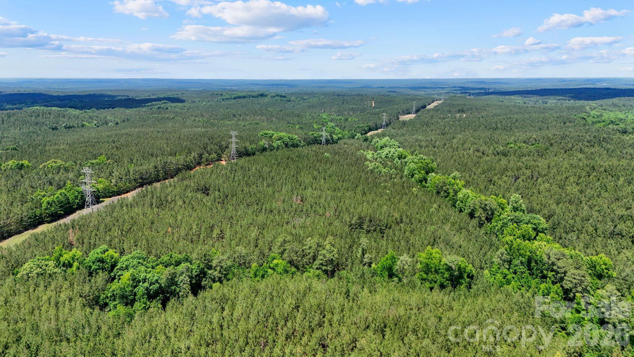 0000 Cool Branch Road 1 Property Photo 22