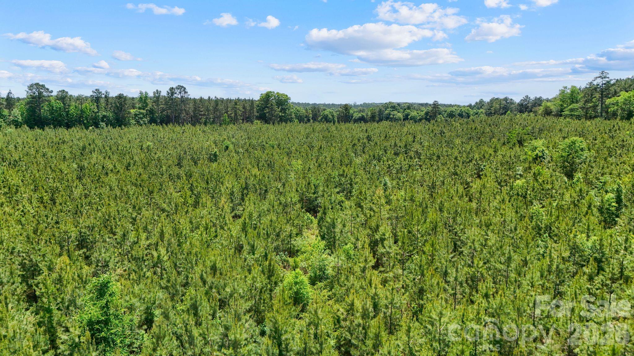 0000 Cool Branch Road 1 Property Photo 23