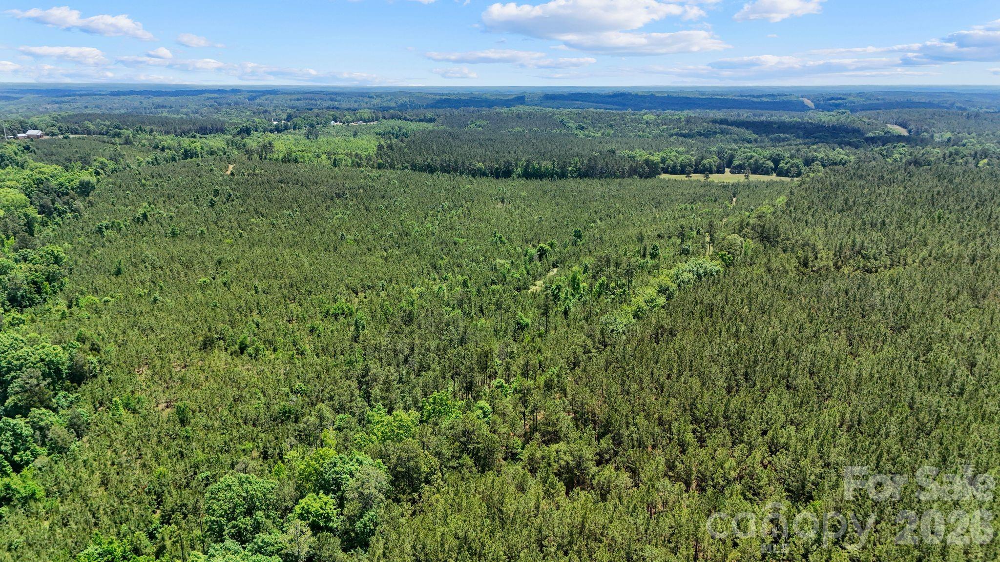 0000 Cool Branch Road 1 Property Photo 24