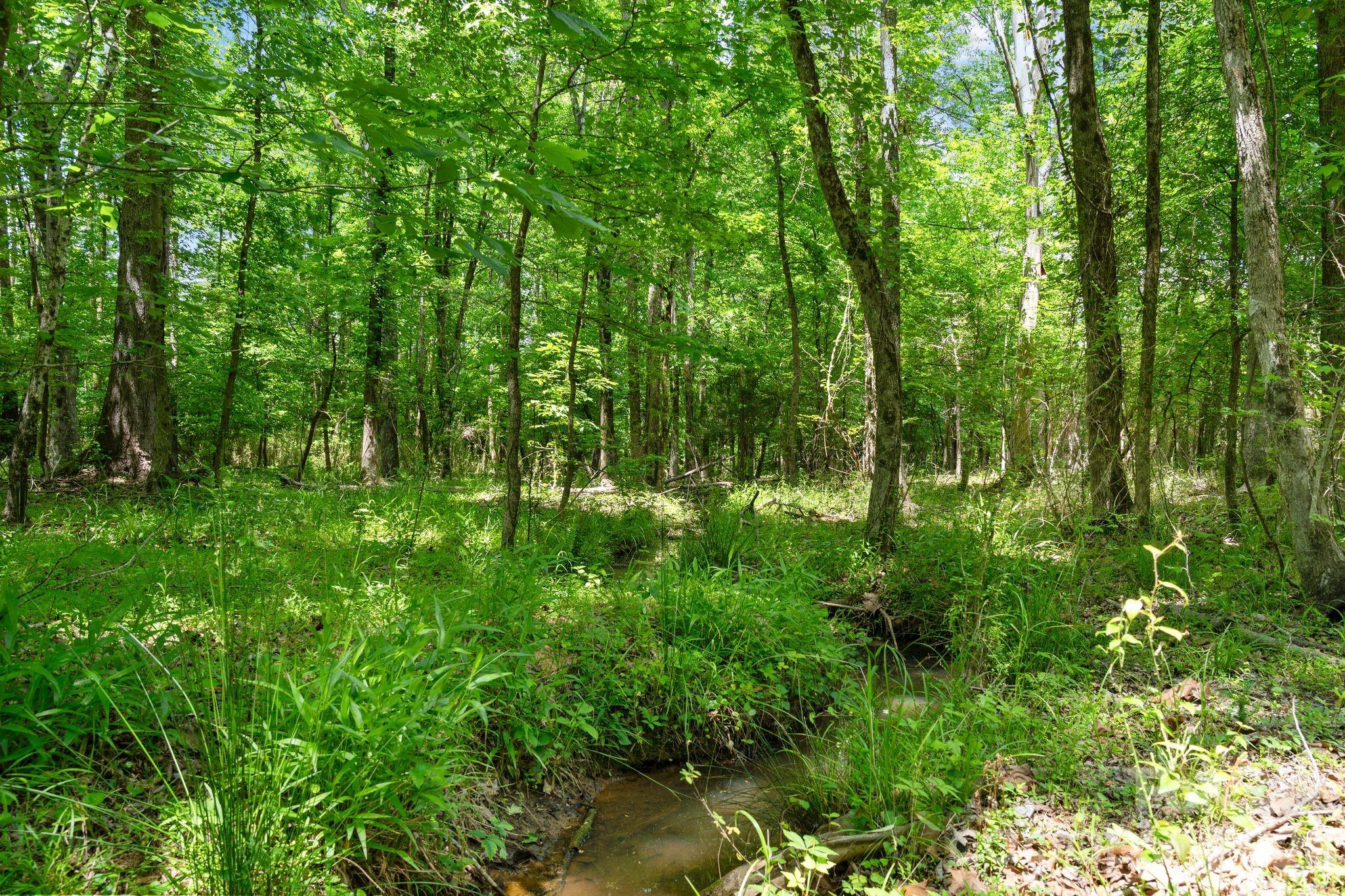 0000 Cool Branch Road 1 Property Photo 26