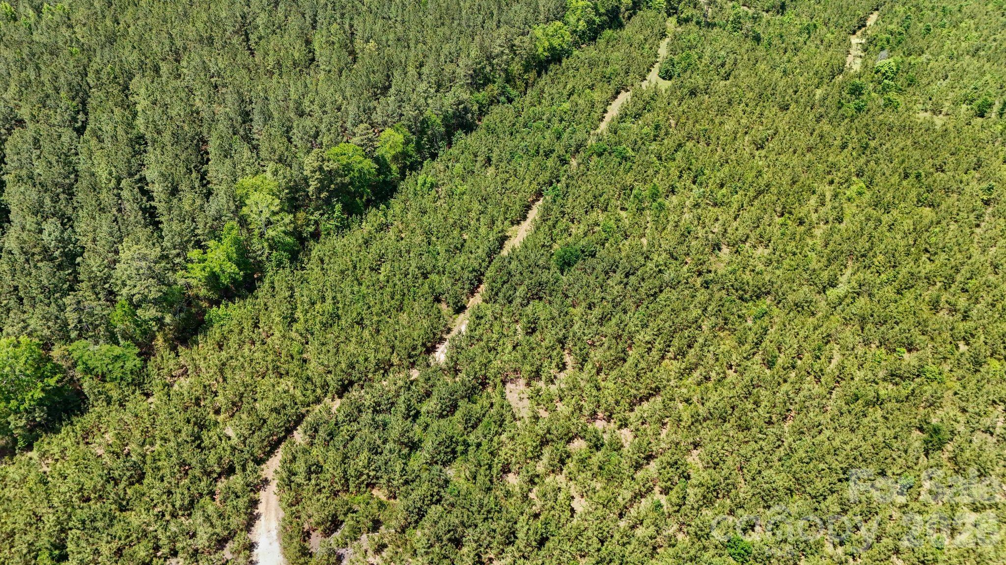 0000 Cool Branch Road 1 Property Photo 45