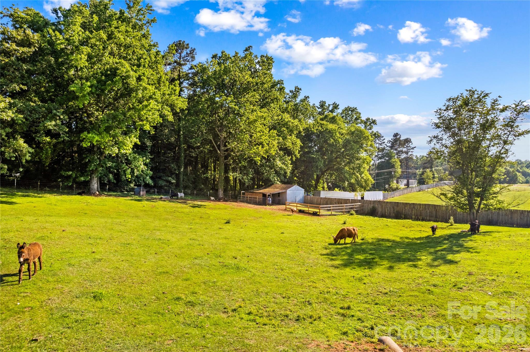1124 Majolica Road Property Photo 5