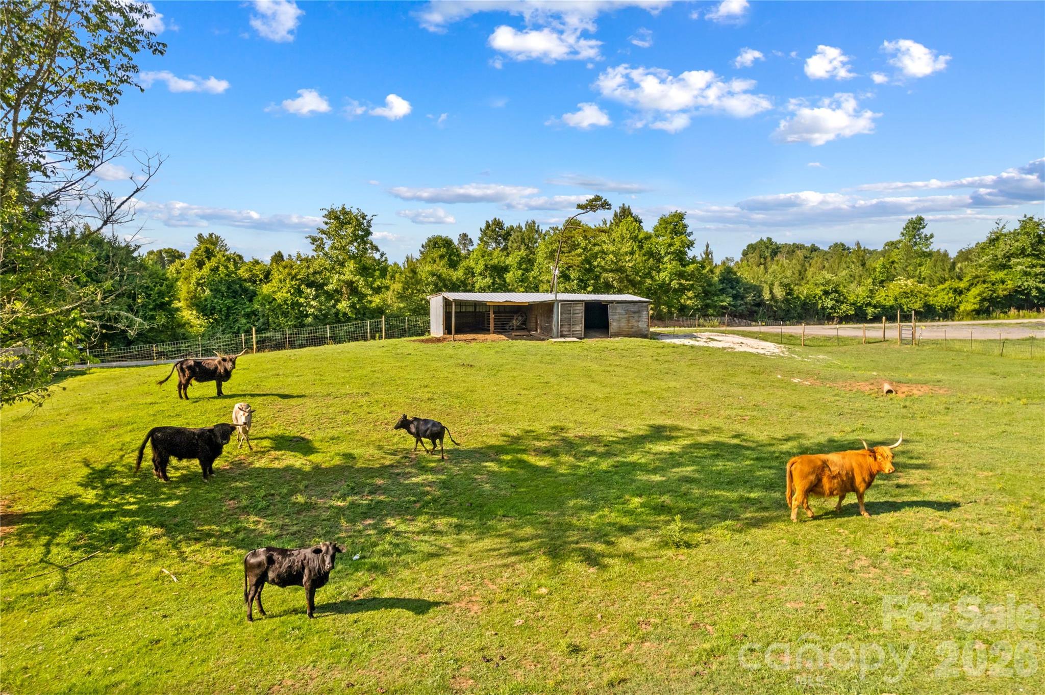 1124 Majolica Road Property Photo 7