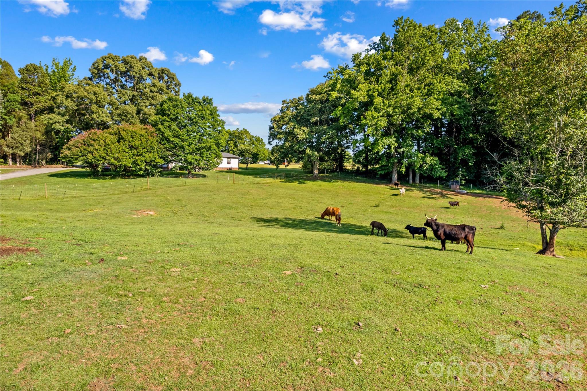 1124 Majolica Road Property Photo 8