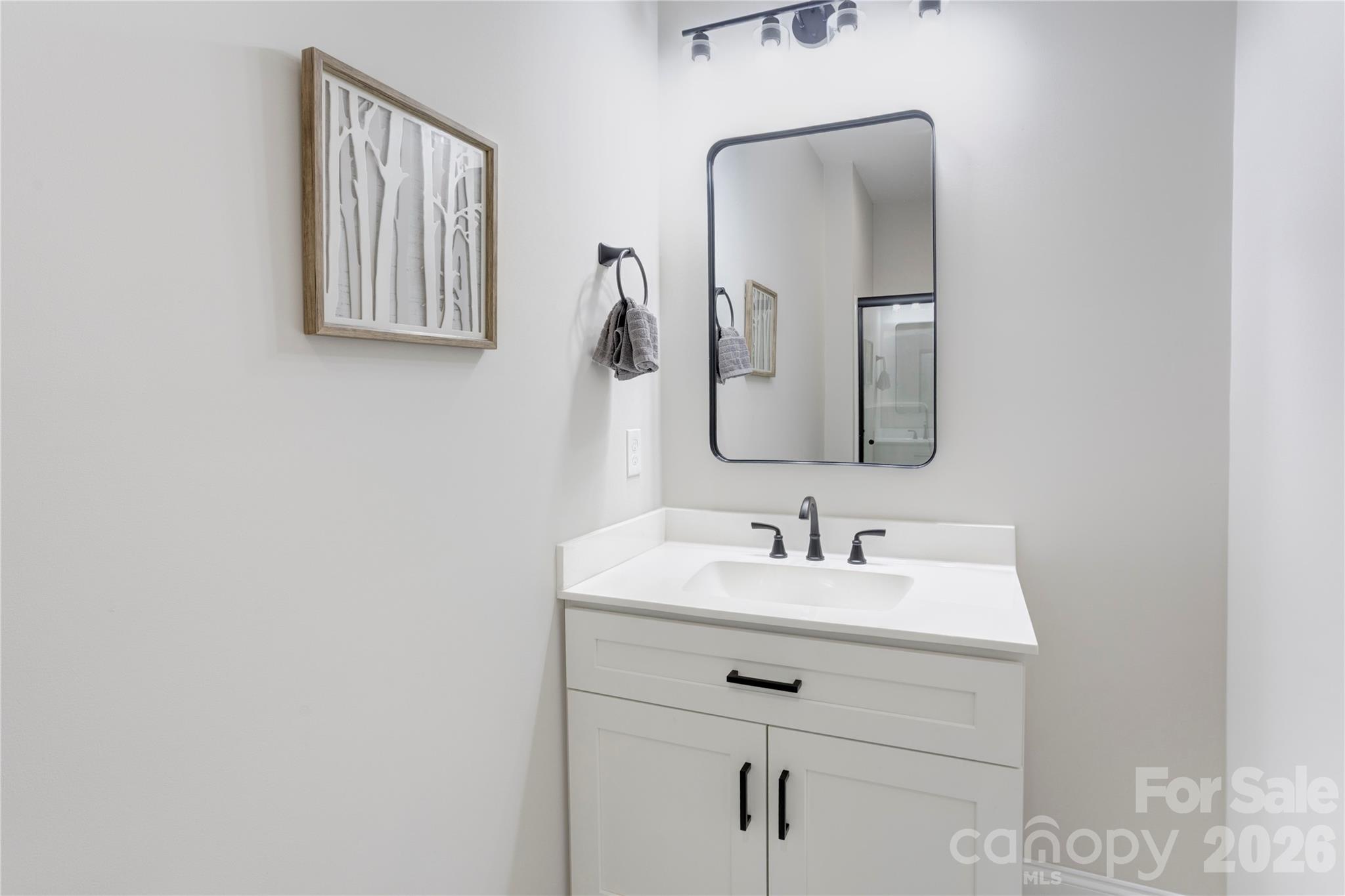 317 Oak Brook Drive Property Photo 26