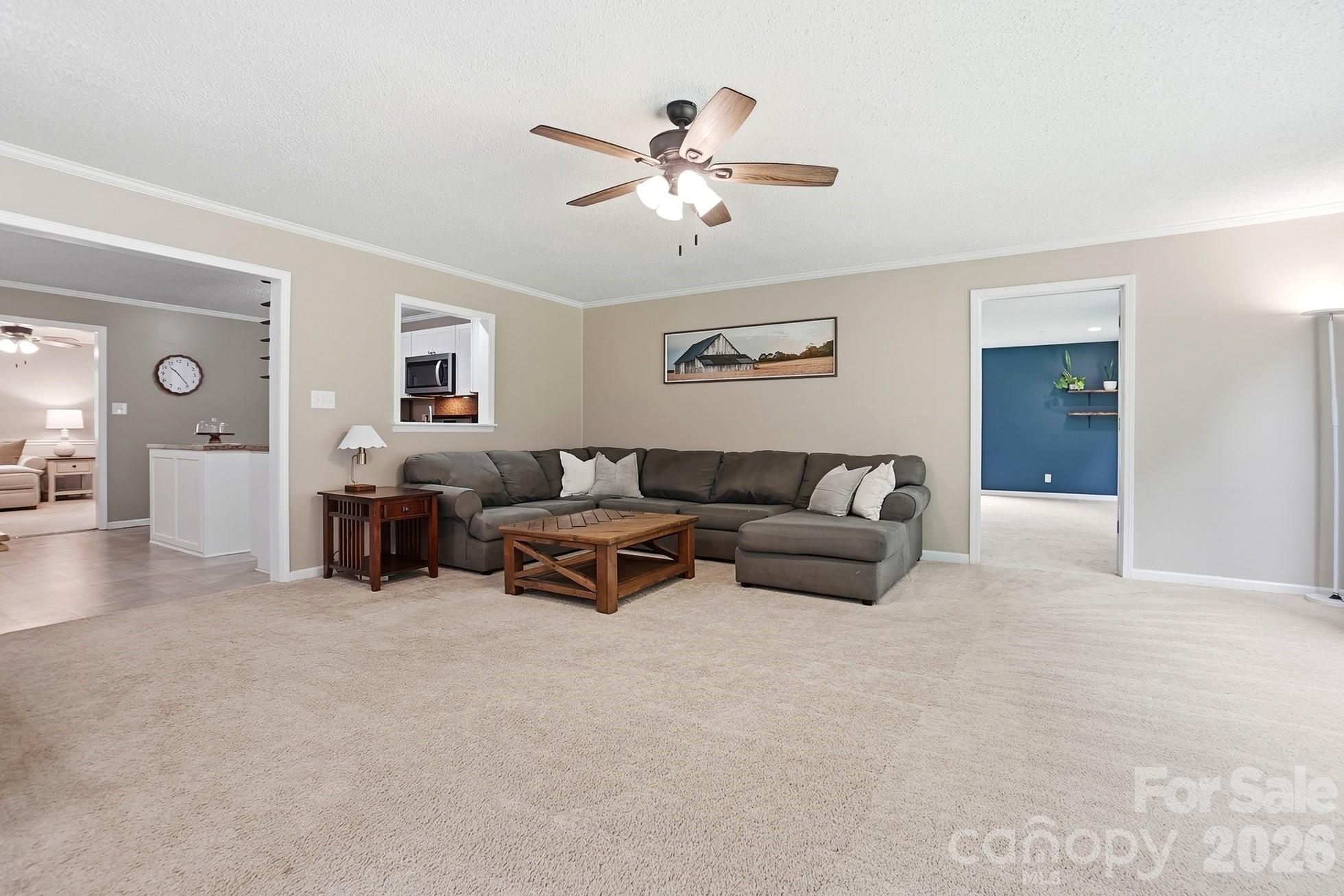 5542 Randolph Road Property Photo 20