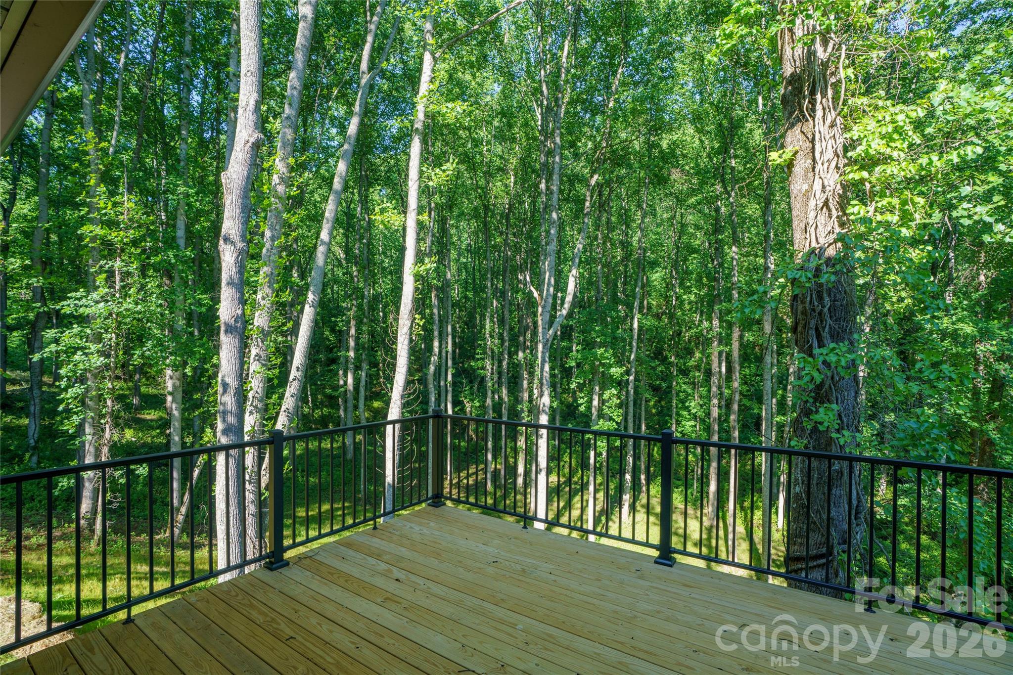 61 Bamboo Trail Property Photo 7