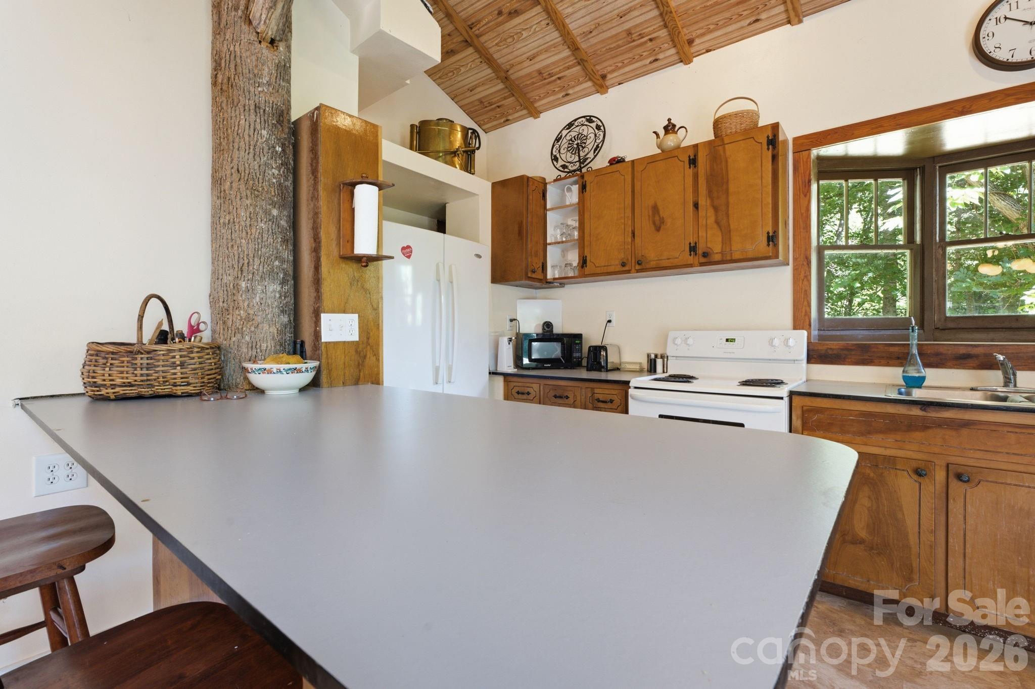 583 Dark Ridge Road Property Photo 19