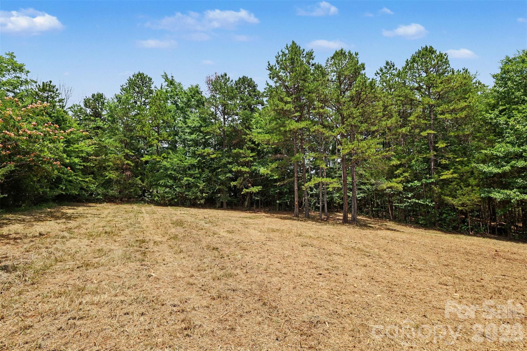 1508 Union Road Property Photo 3