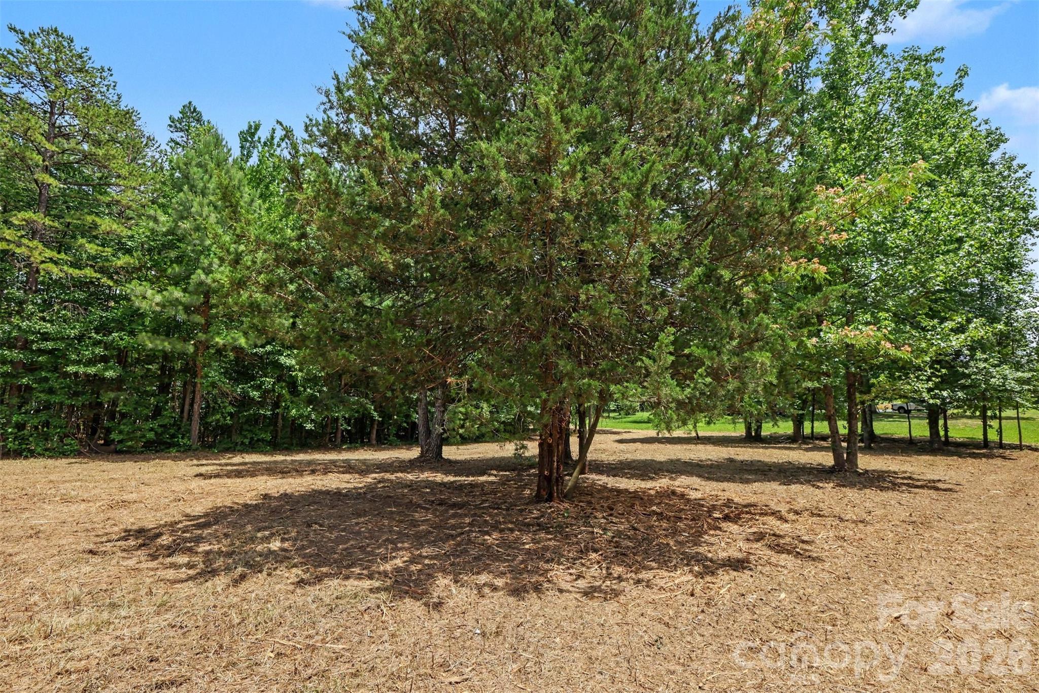 1508 Union Road Property Photo 4