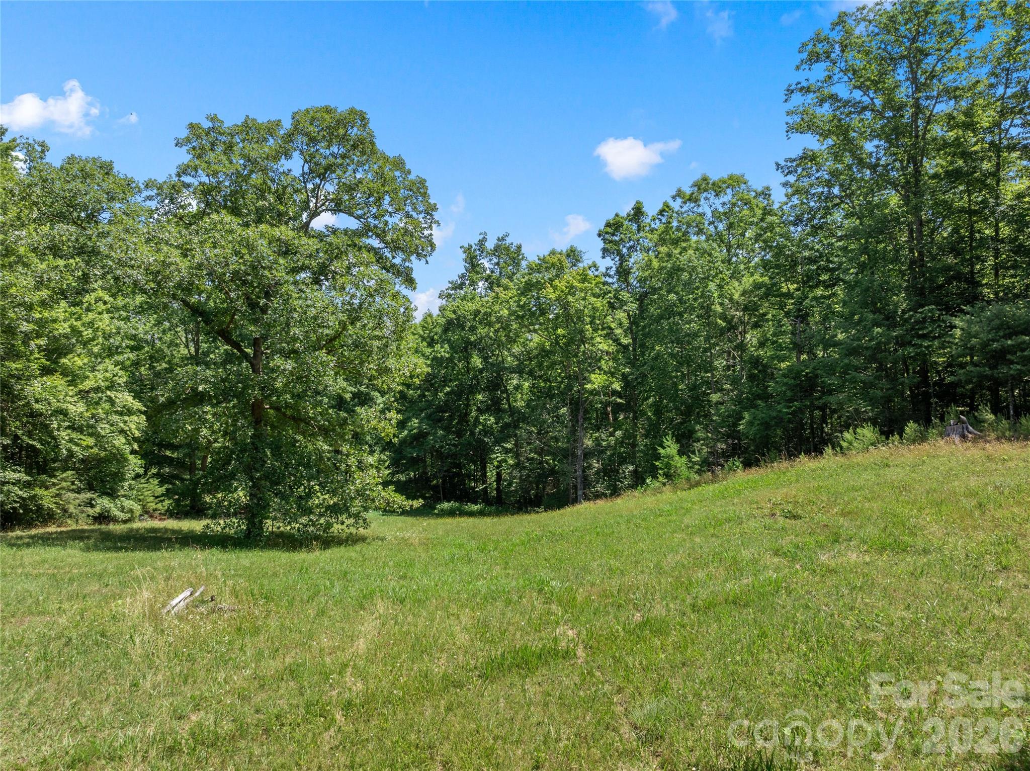 563 Burgess Road Property Photo 25