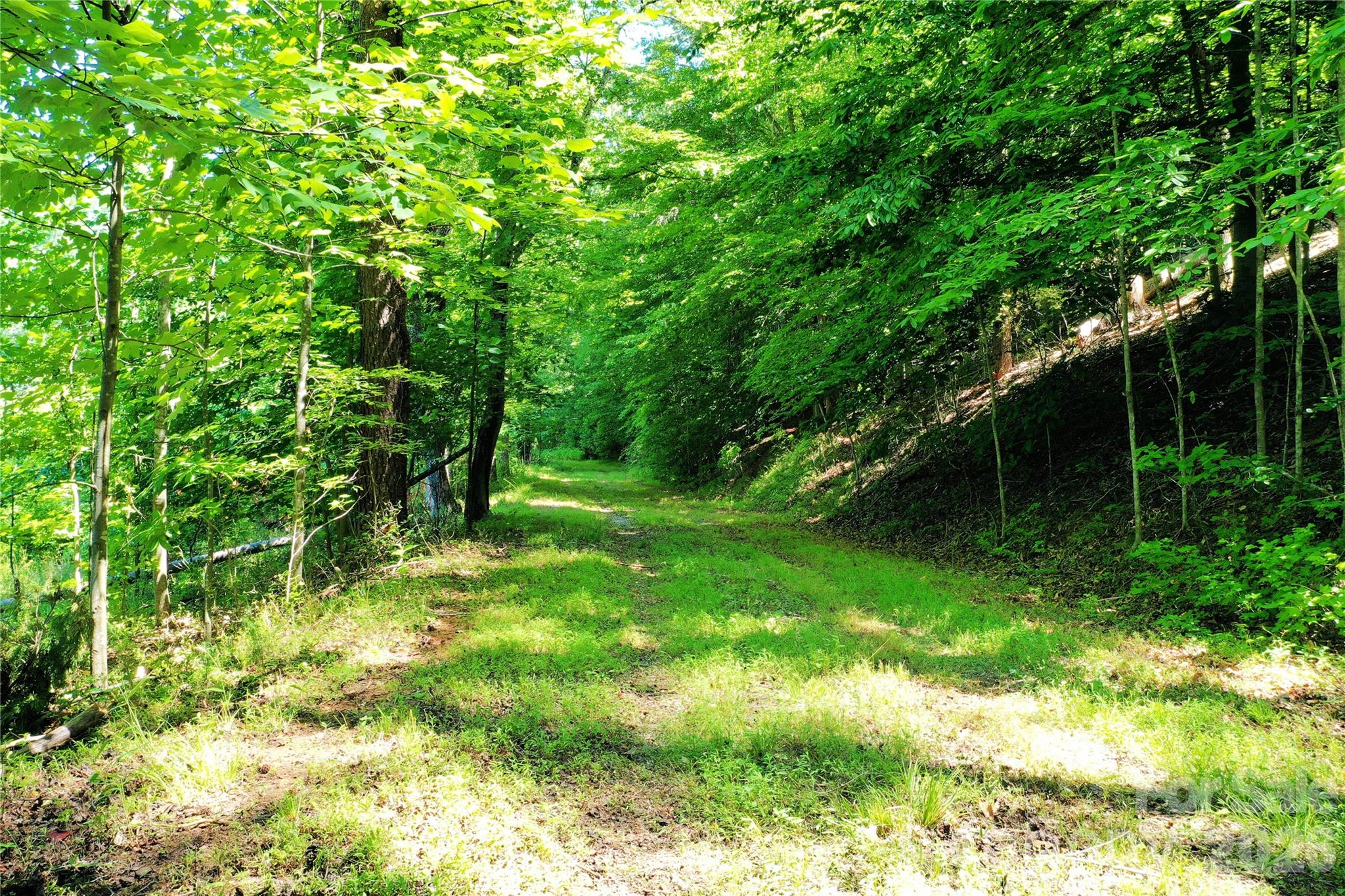 Tbd River Road Property Photo 3