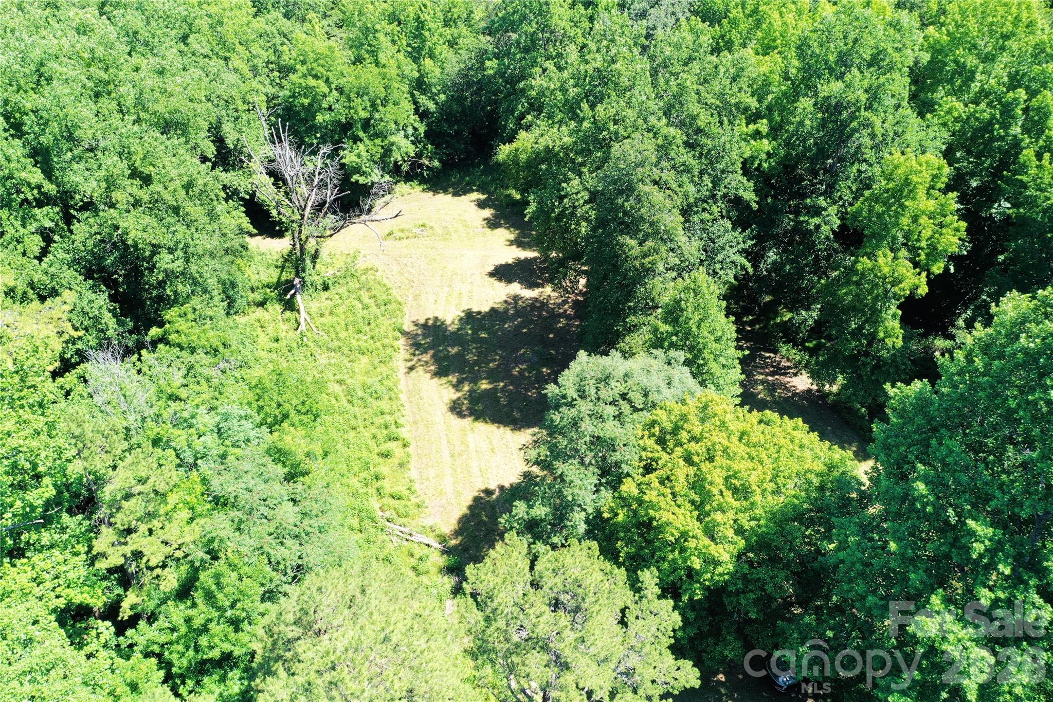 Tbd River Road Property Photo 4