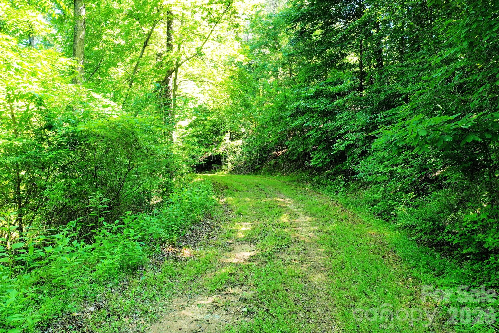 Tbd River Road Property Photo 4