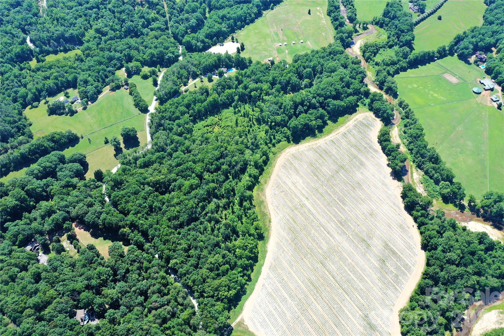 Tbd River Road Property Photo 7