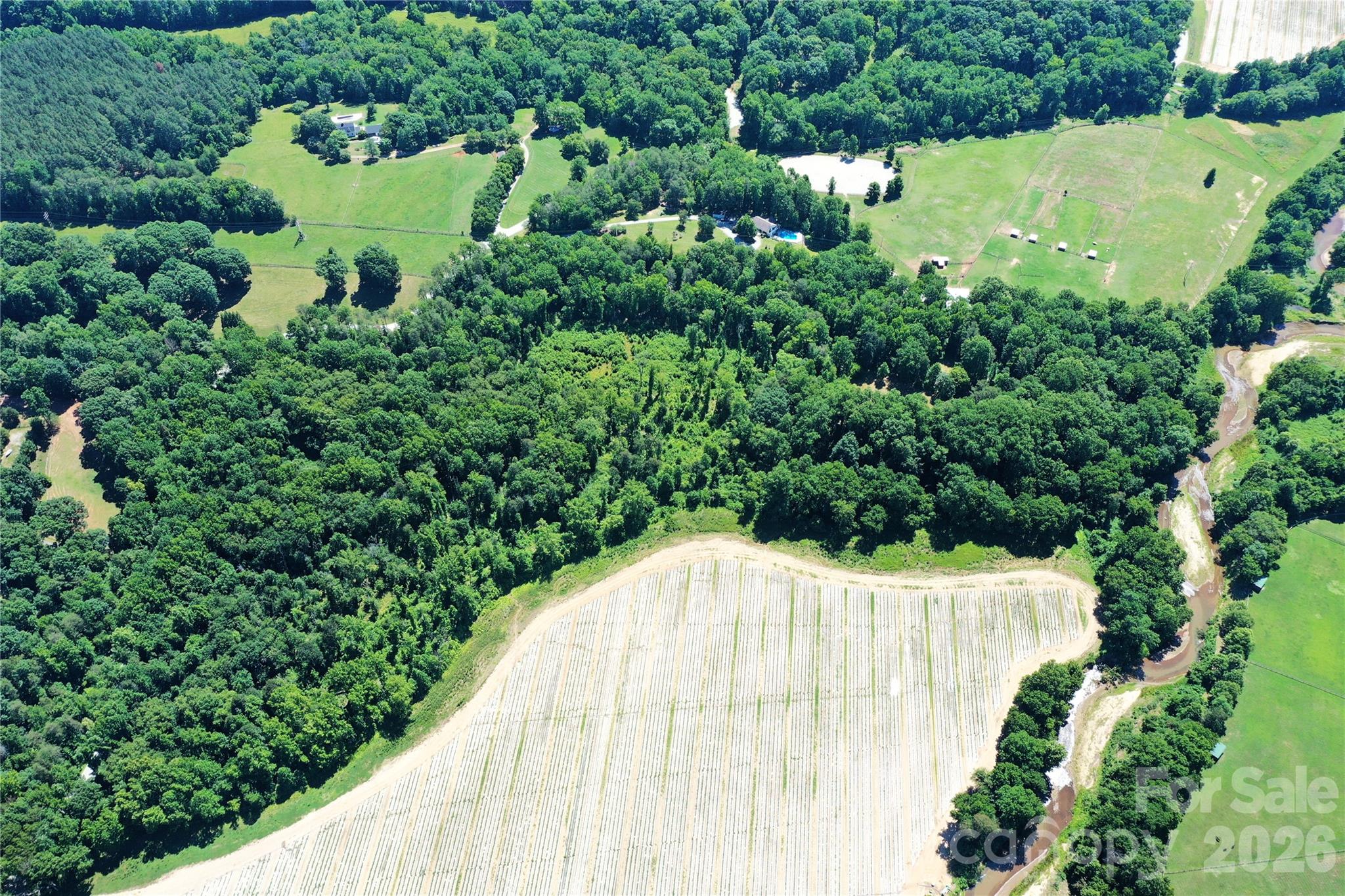 Tbd River Road Property Photo 7