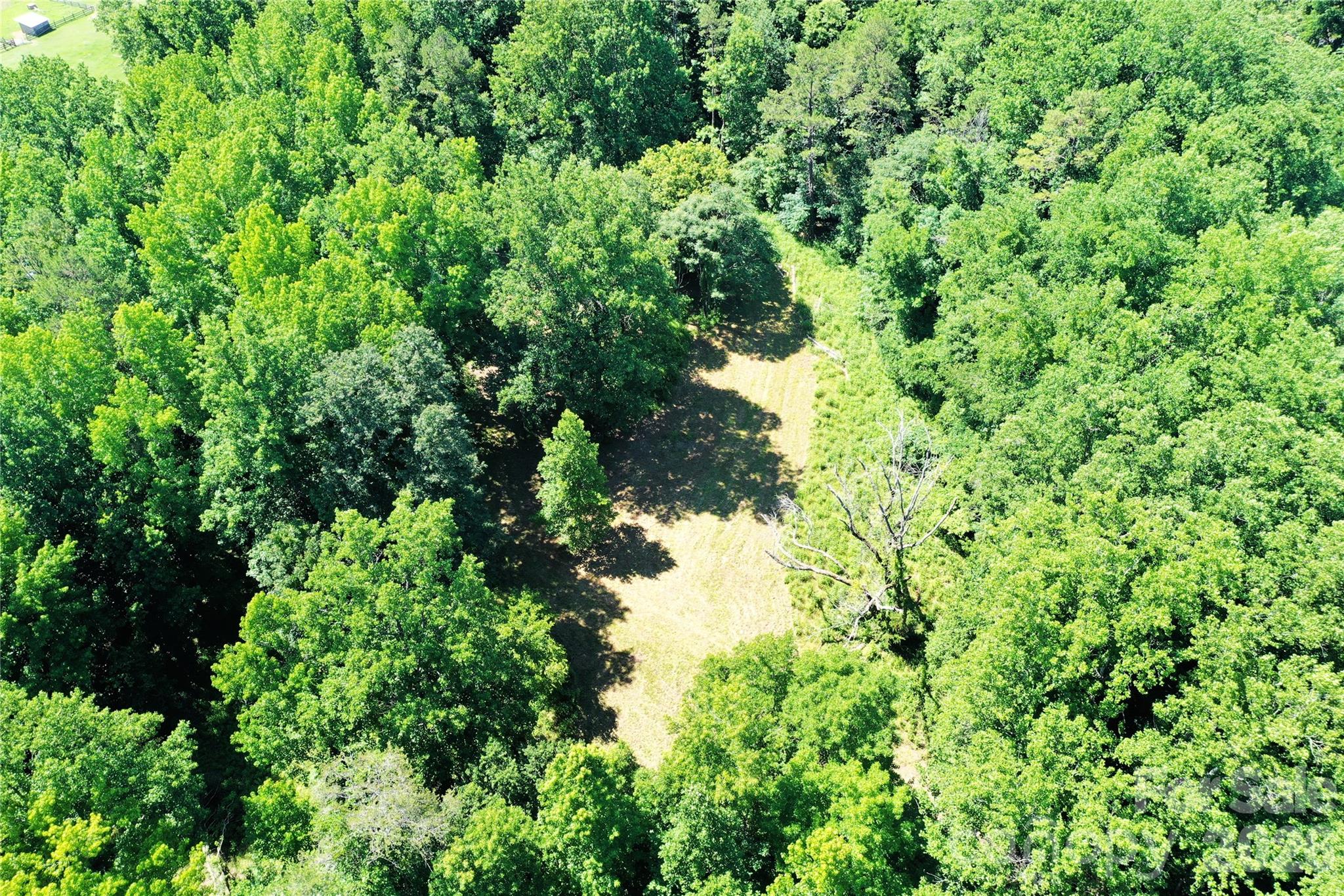 Tbd River Road Property Photo 10