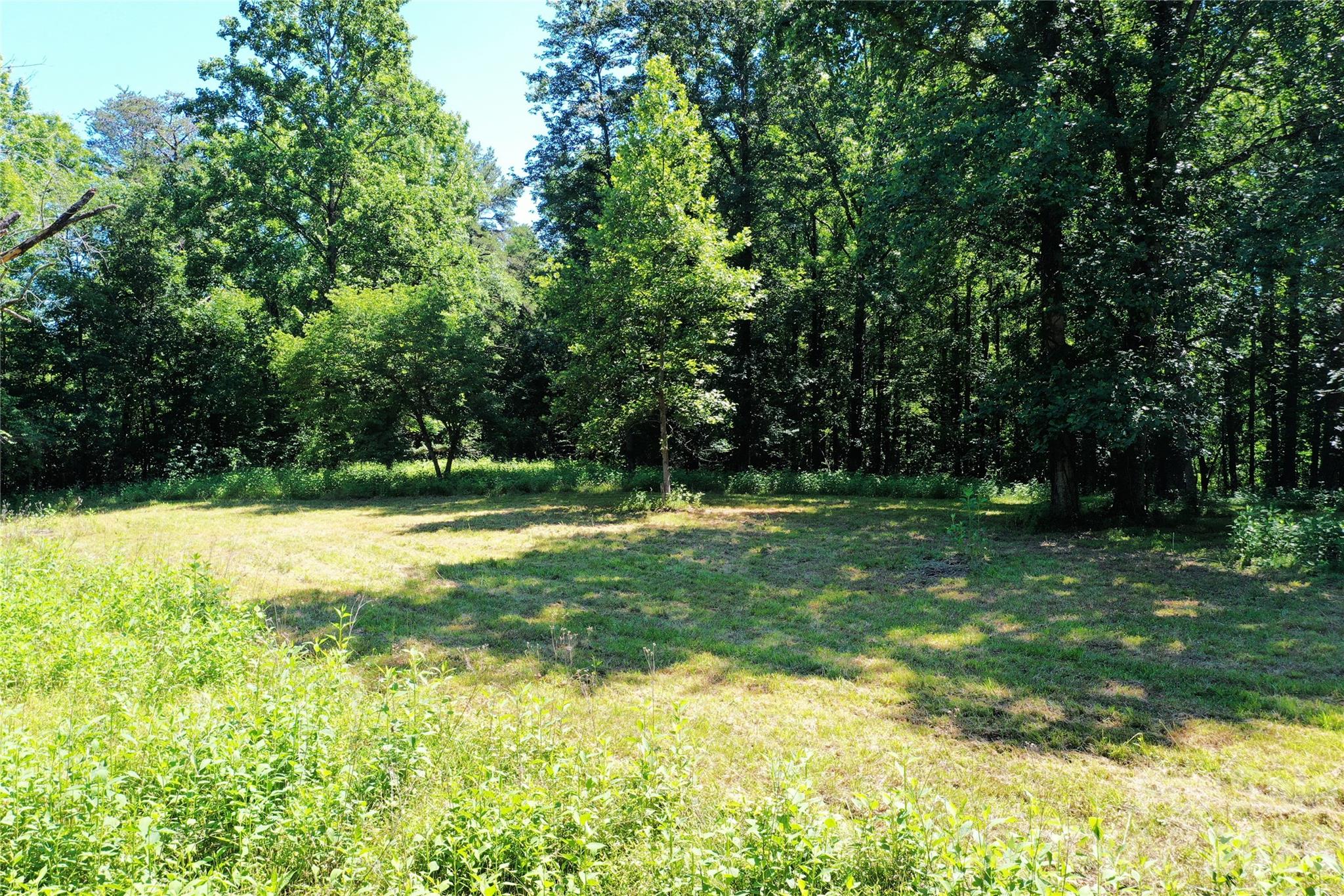Tbd River Road Property Photo 11