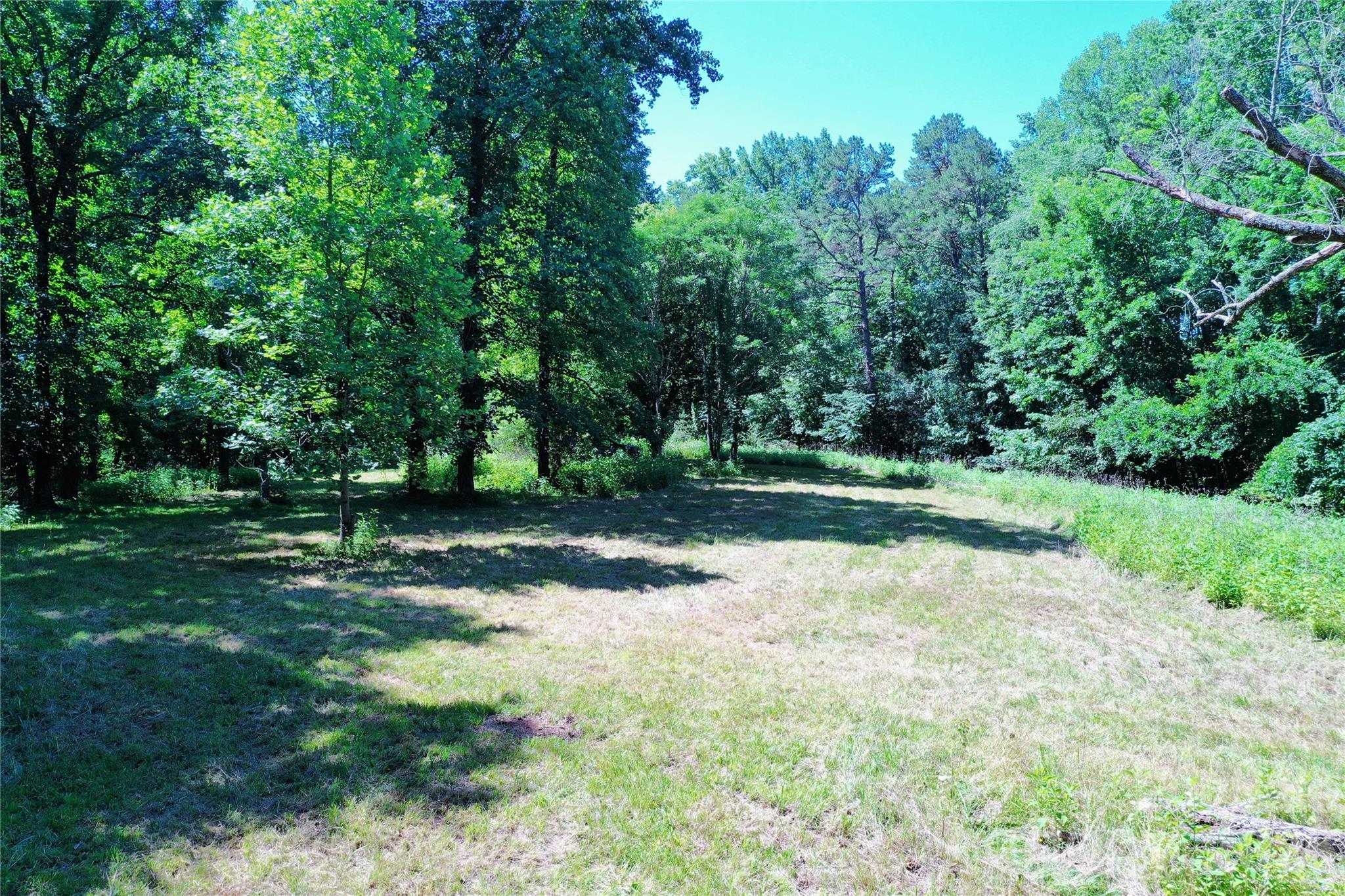 Tbd River Road Property Photo 11
