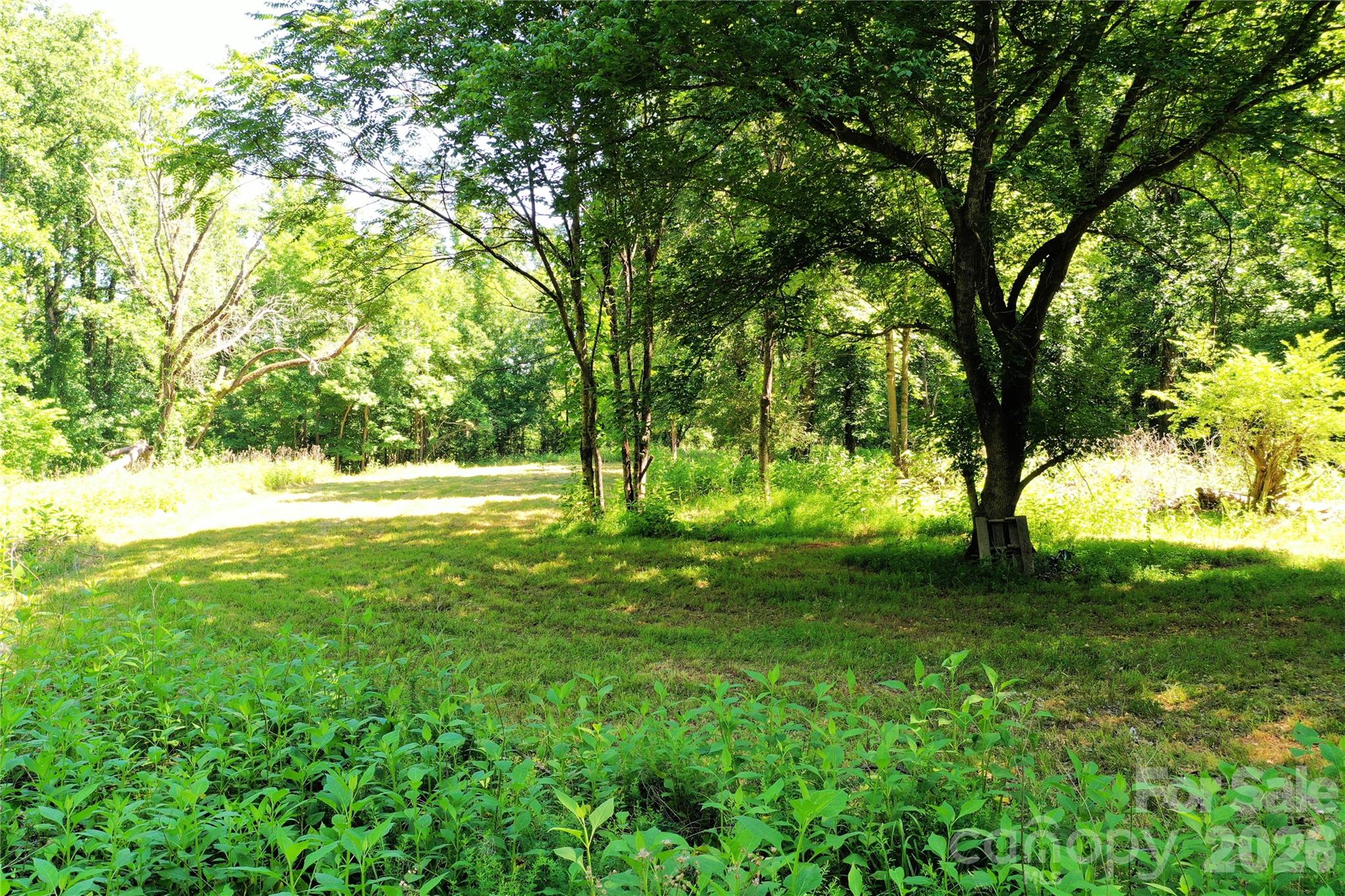 Tbd River Road Property Photo 13