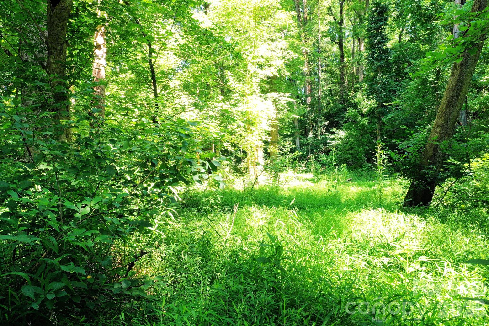 Tbd River Road Property Photo 14