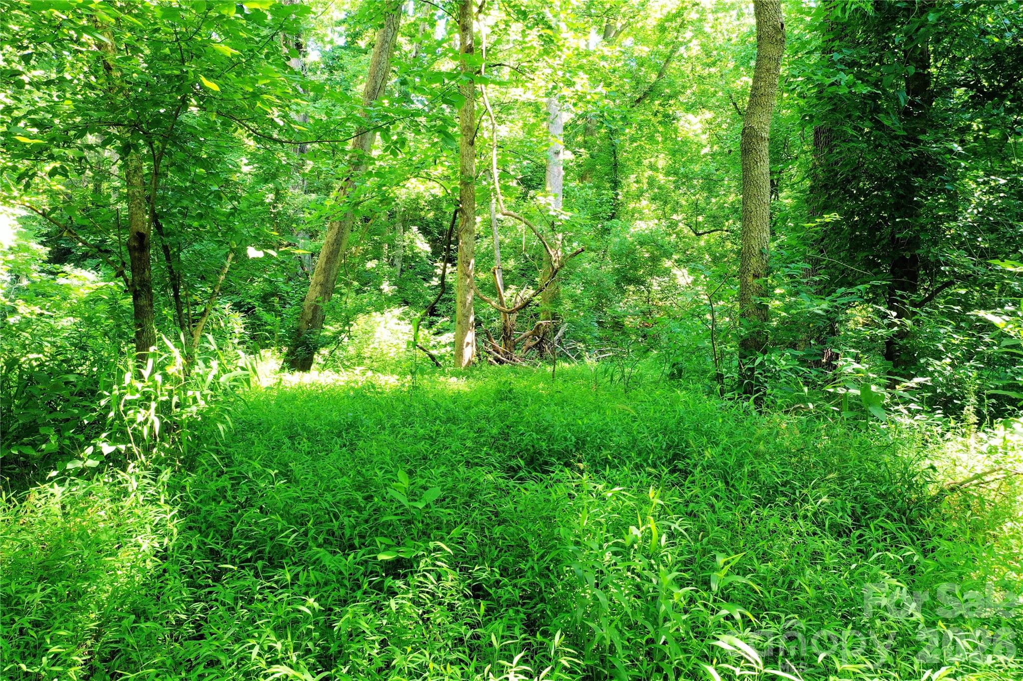 Tbd River Road Property Photo 16