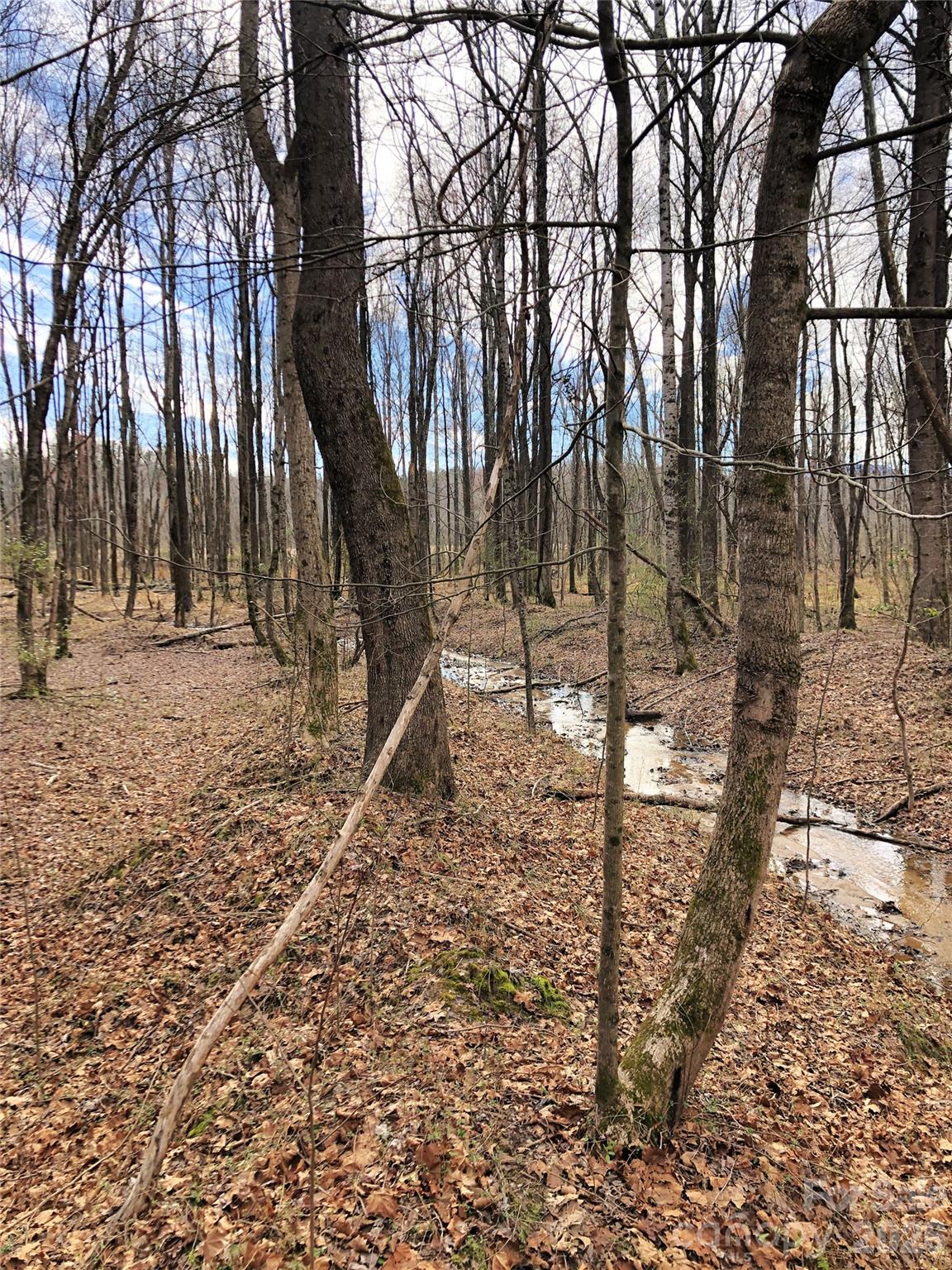 Tbd River Road Property Photo 26