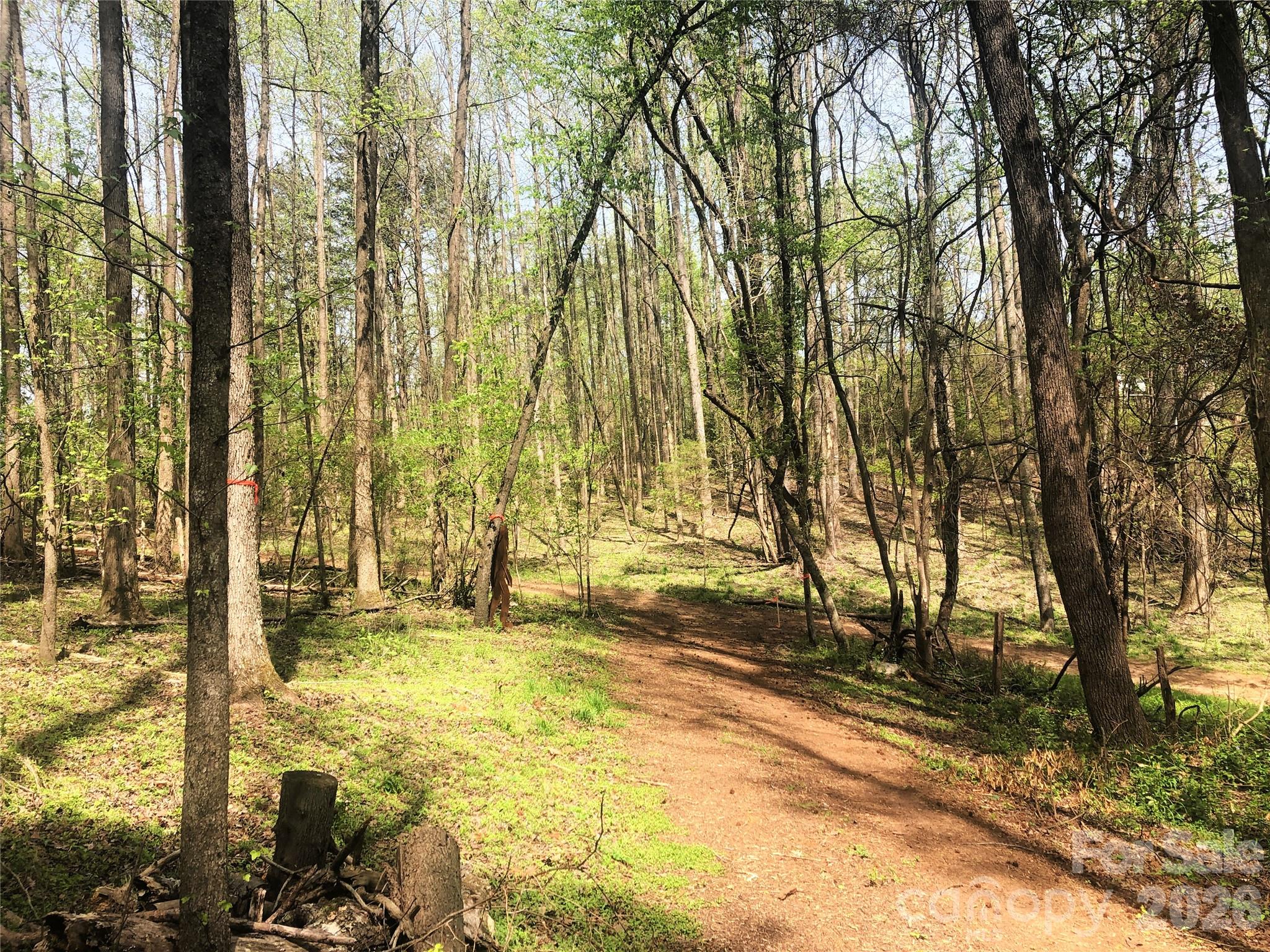 Tbd River Road Property Photo 28