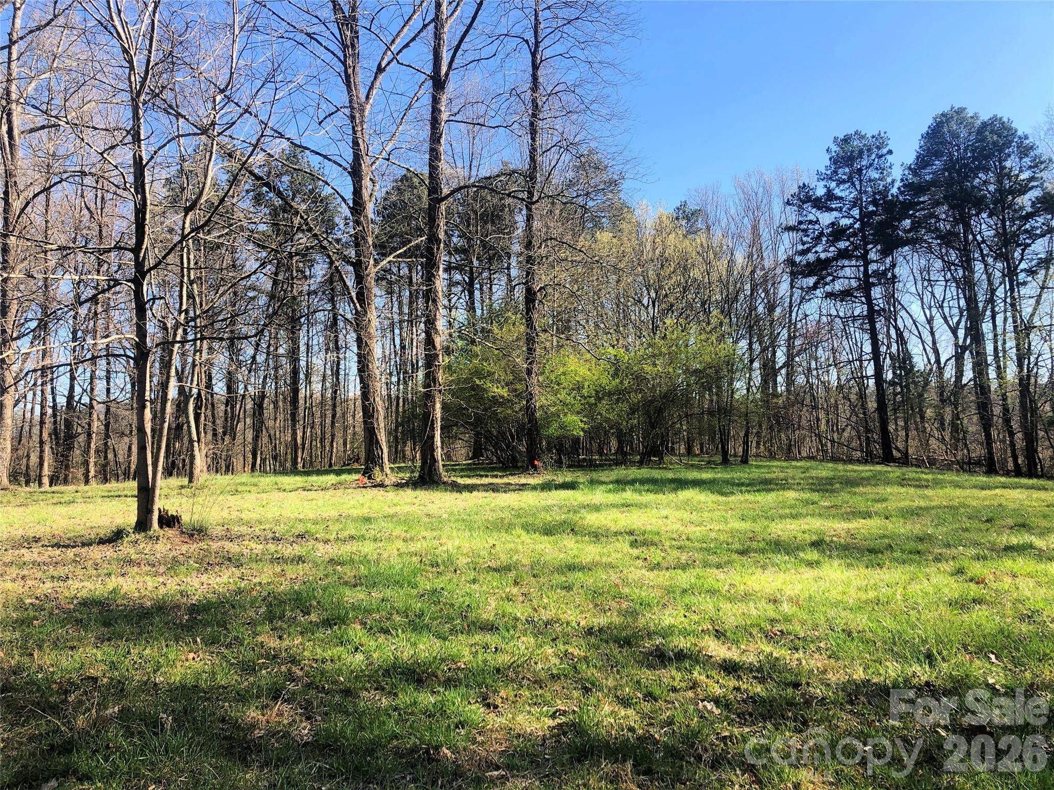 Tbd River Road Property Photo 30