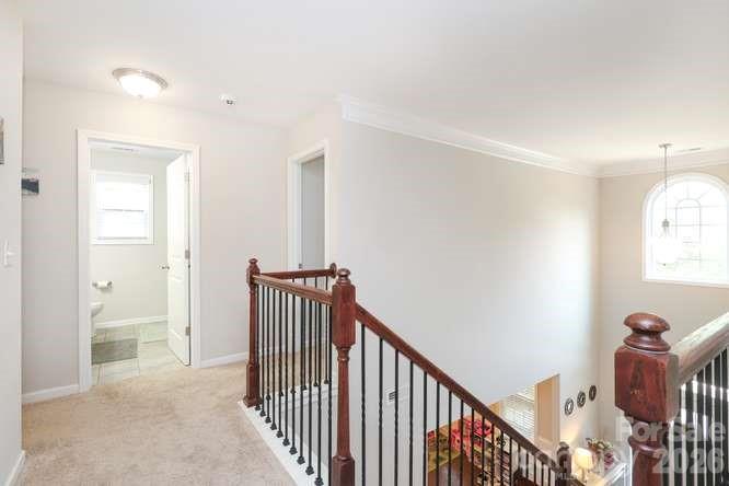 9748 Elgin Moor Road Property Photo 15